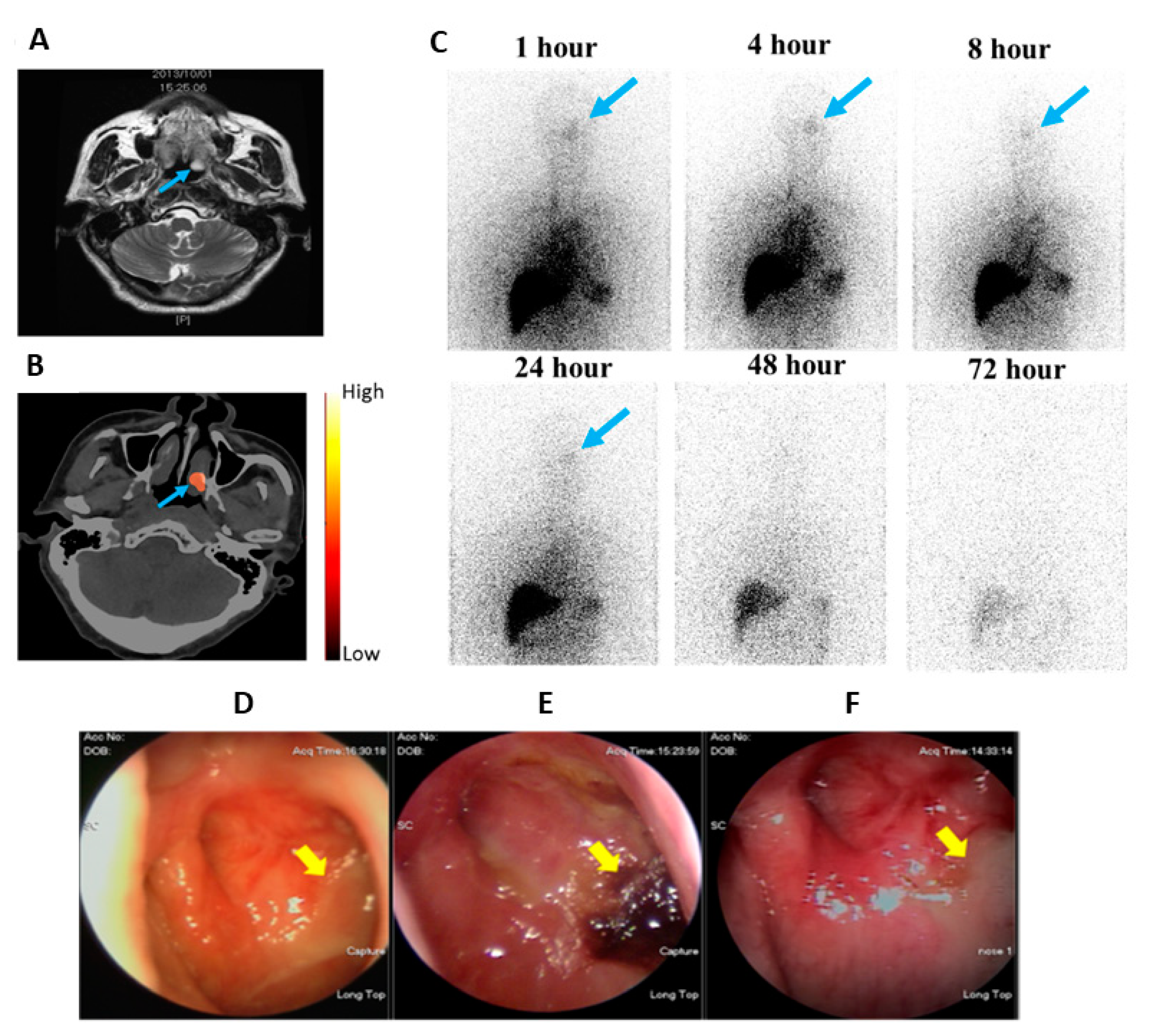 Ijms 22 03868 g009 Ijms 22 03868 g009