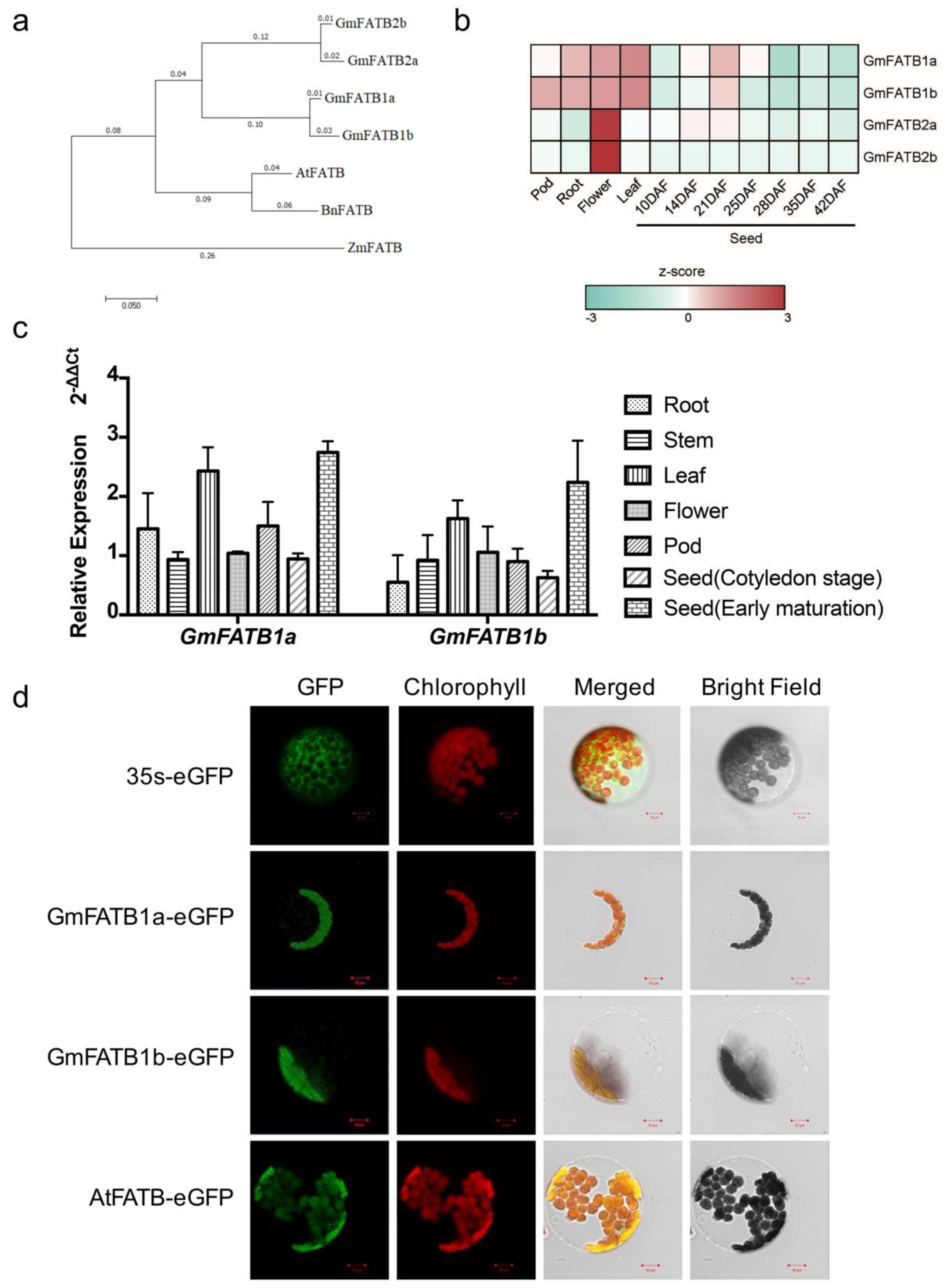 Ijms 22 03877 g001 Ijms 22 03877 g001