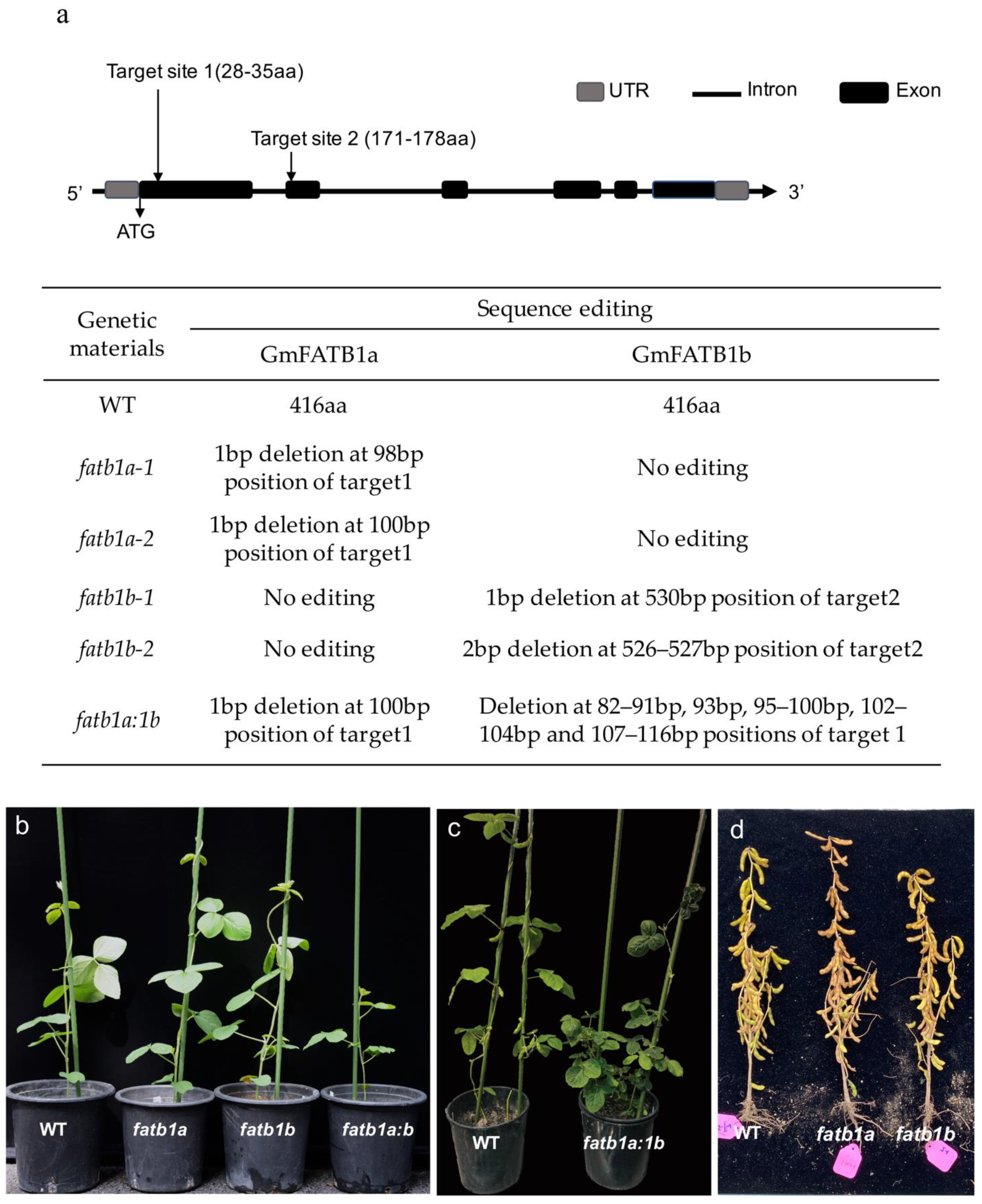 Ijms 22 03877 g002 Ijms 22 03877 g002