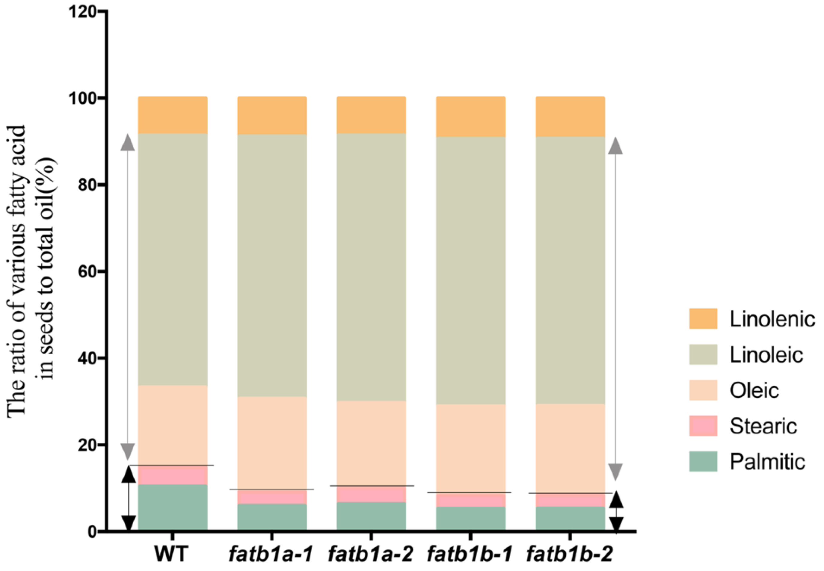Ijms 22 03877 g004 Ijms 22 03877 g004