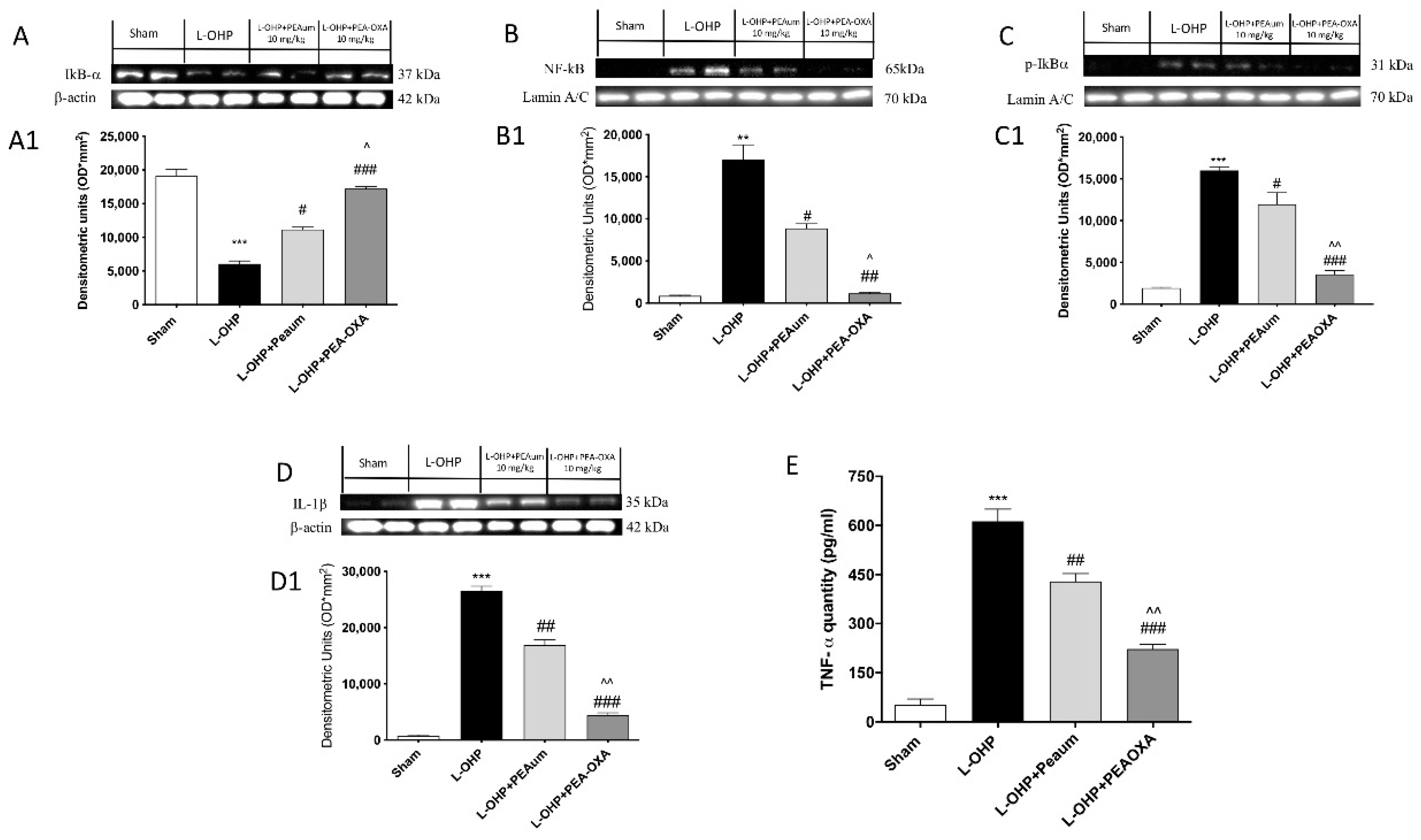 Ijms 22 03927 g003 Ijms 22 03927 g003