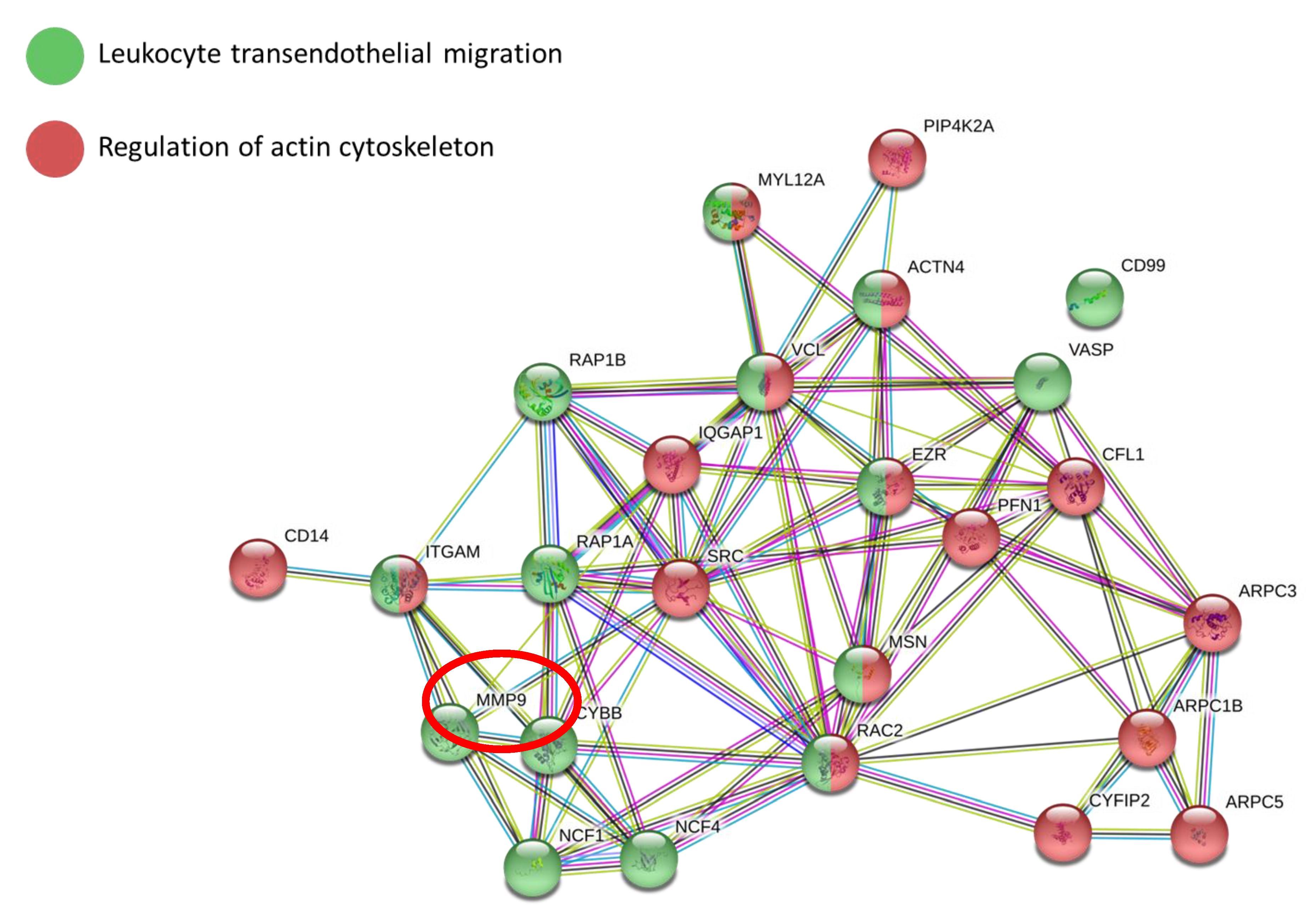Ijms 22 03928 g005 Ijms 22 03928 g005