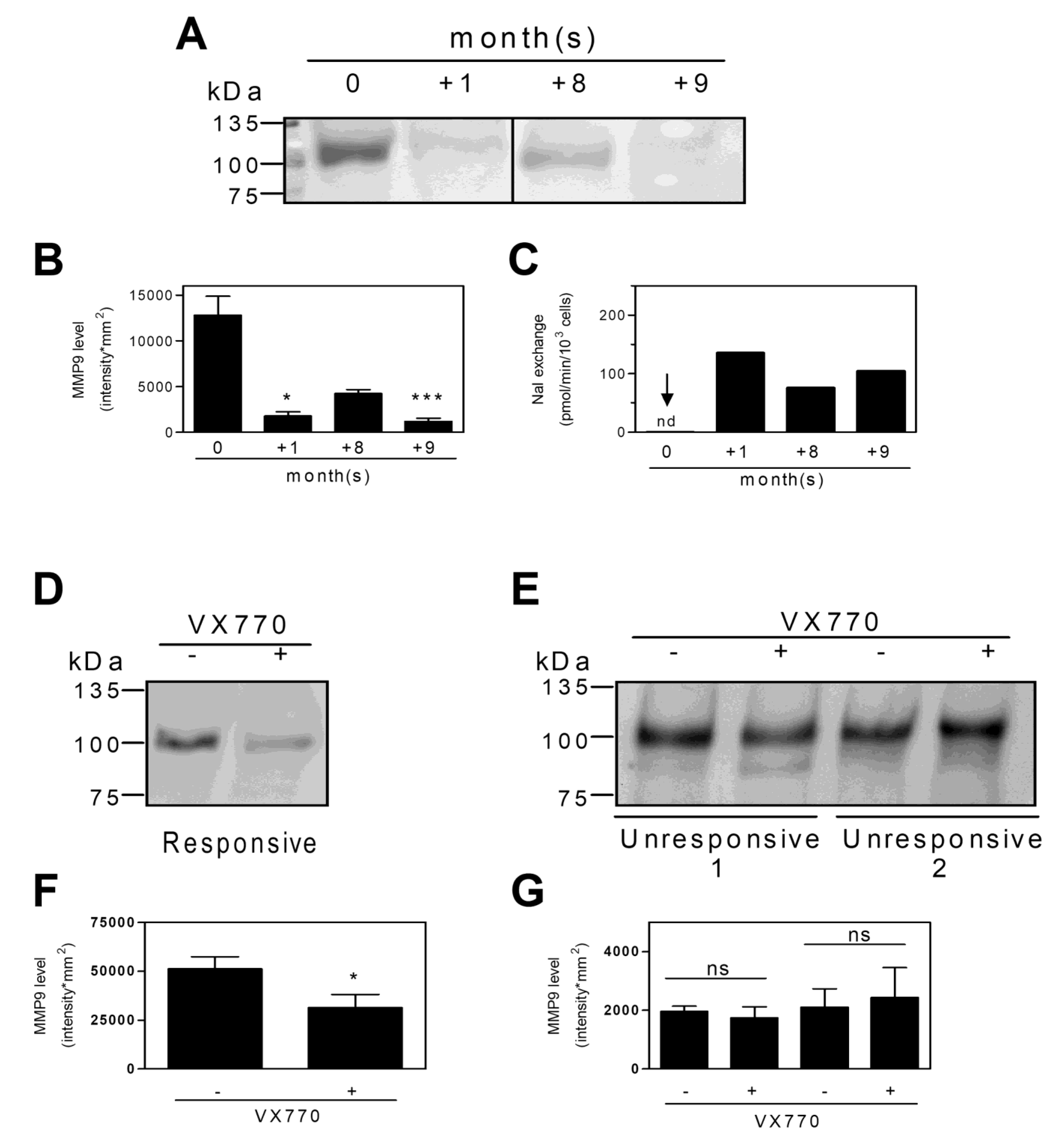 Ijms 22 03928 g006 Ijms 22 03928 g006