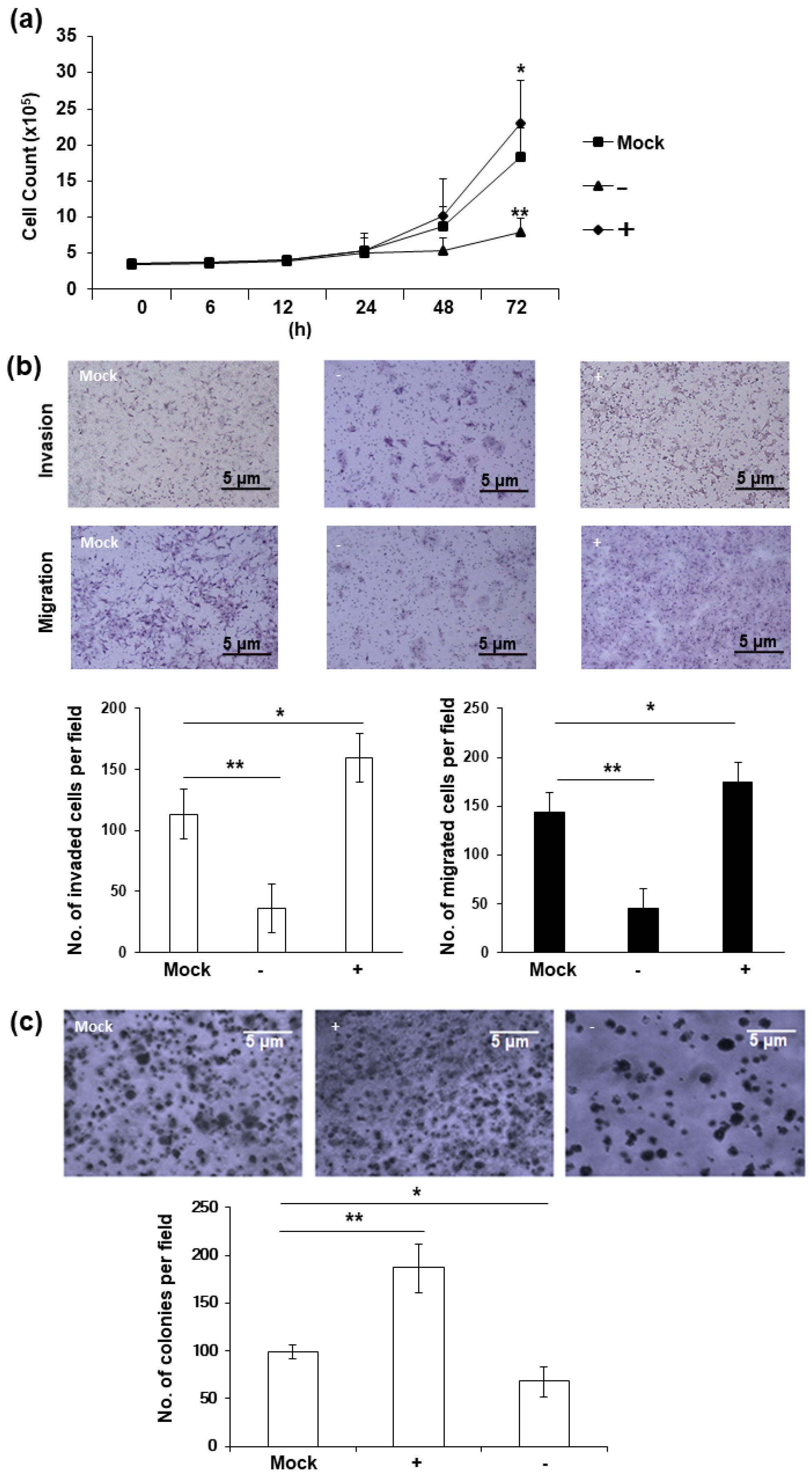 Ijms 22 03941 g002 Ijms 22 03941 g002