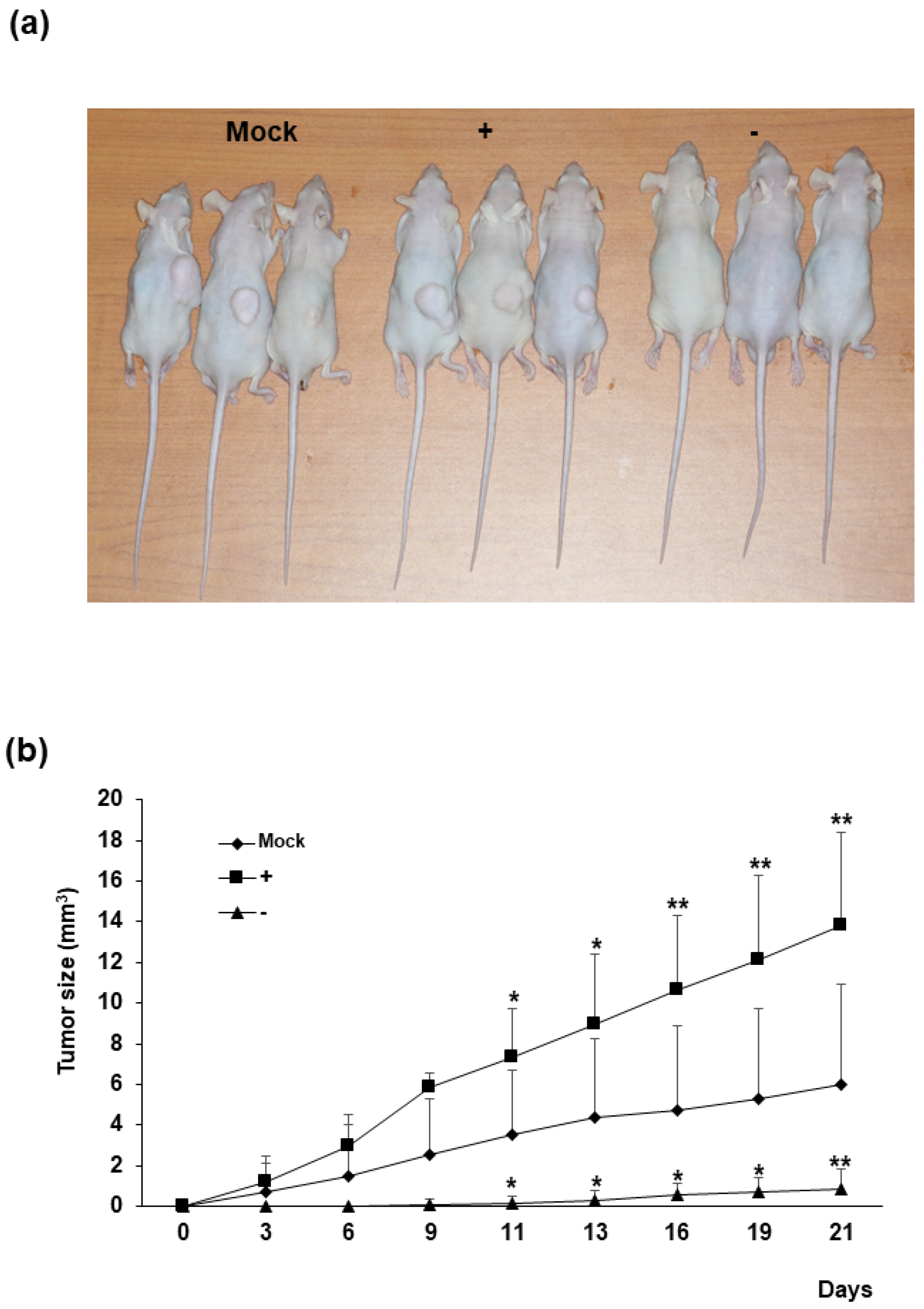 Ijms 22 03941 g003 Ijms 22 03941 g003