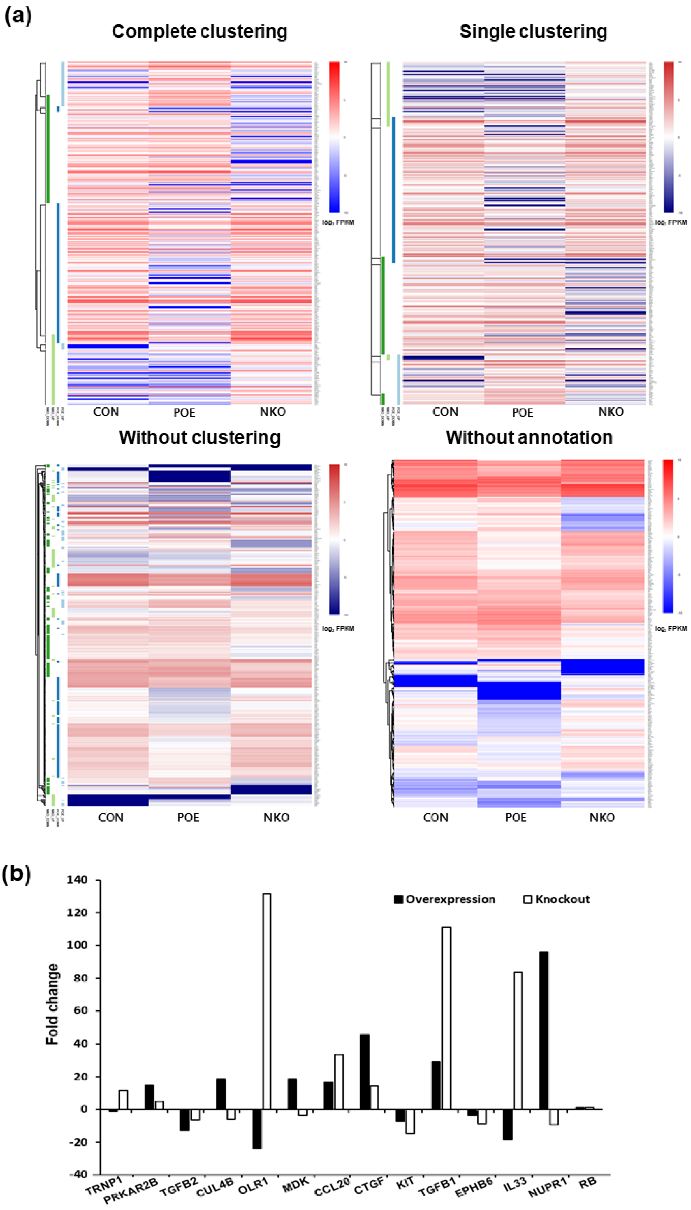 Ijms 22 03941 g004 Ijms 22 03941 g004