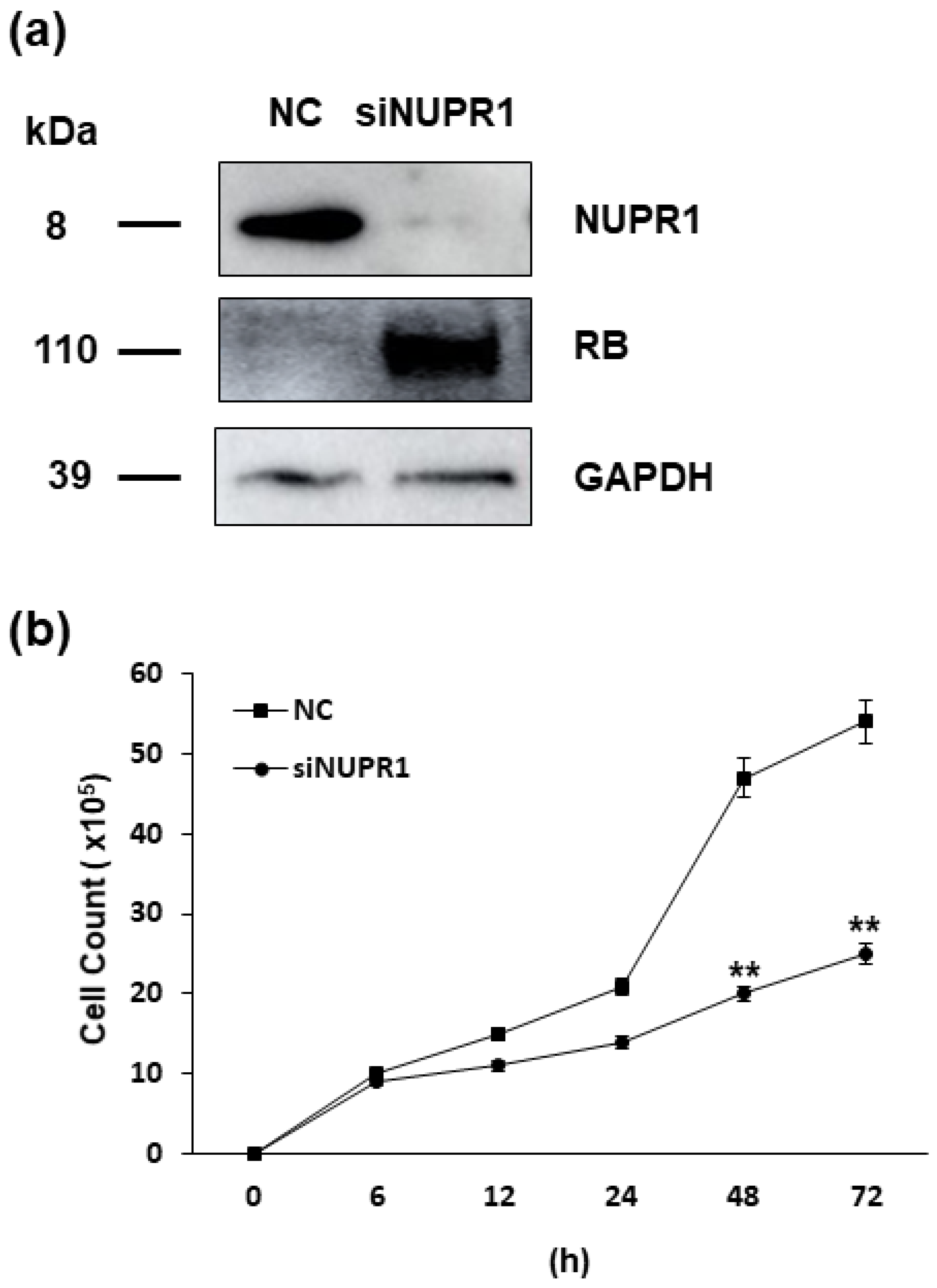 Ijms 22 03941 g006 Ijms 22 03941 g006