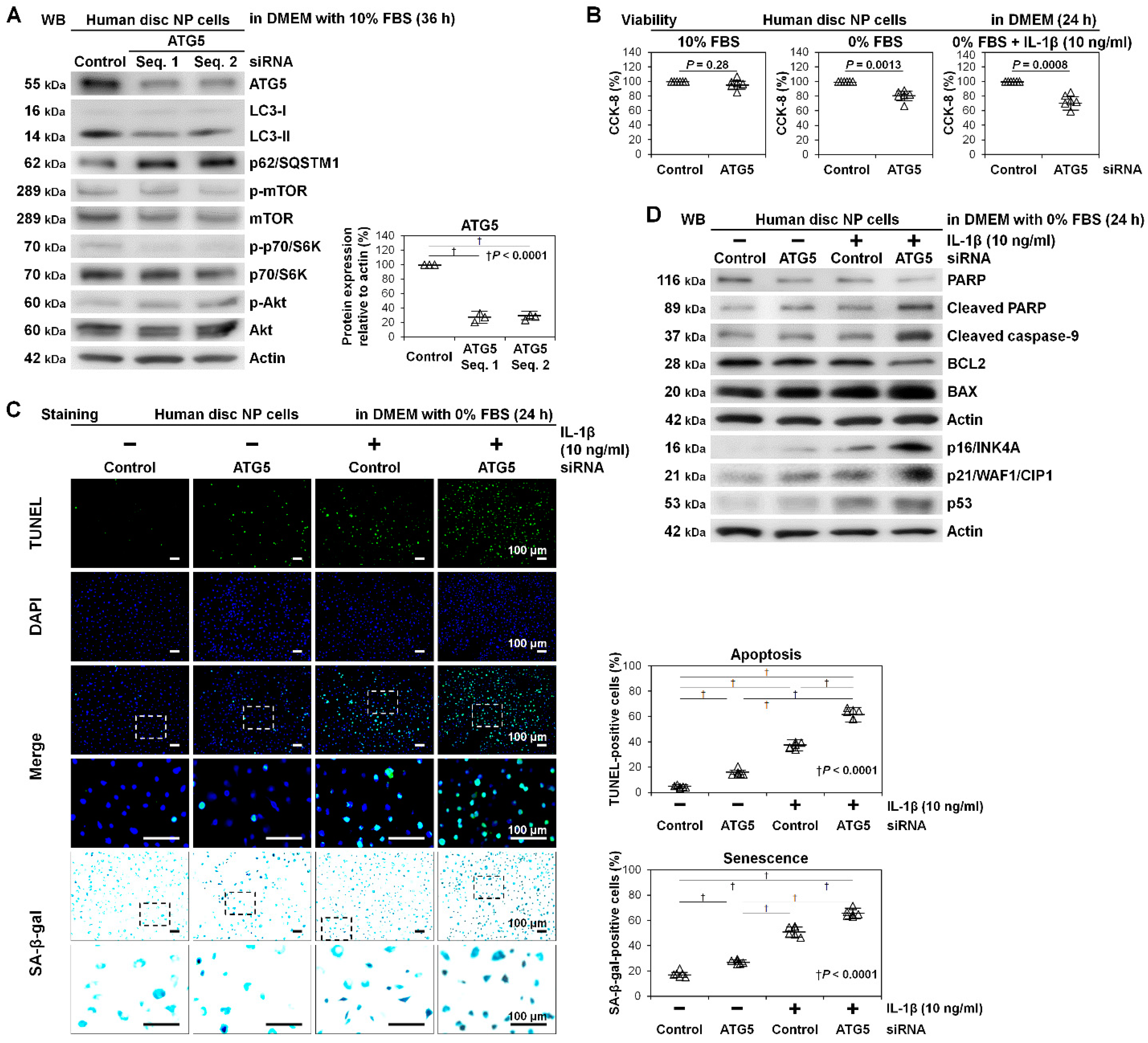 Ijms 22 03965 g003 Ijms 22 03965 g003