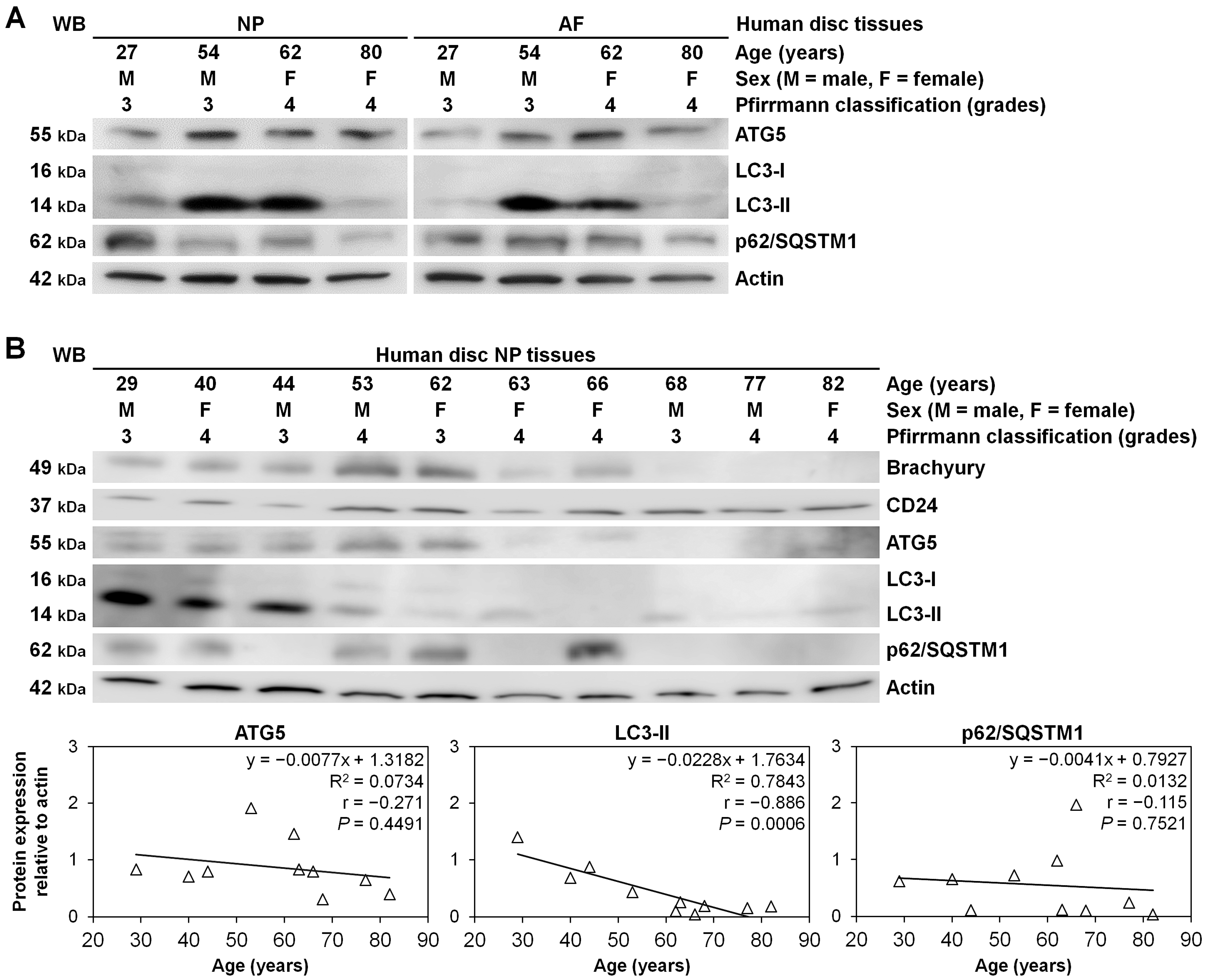 Ijms 22 03965 g006 Ijms 22 03965 g006