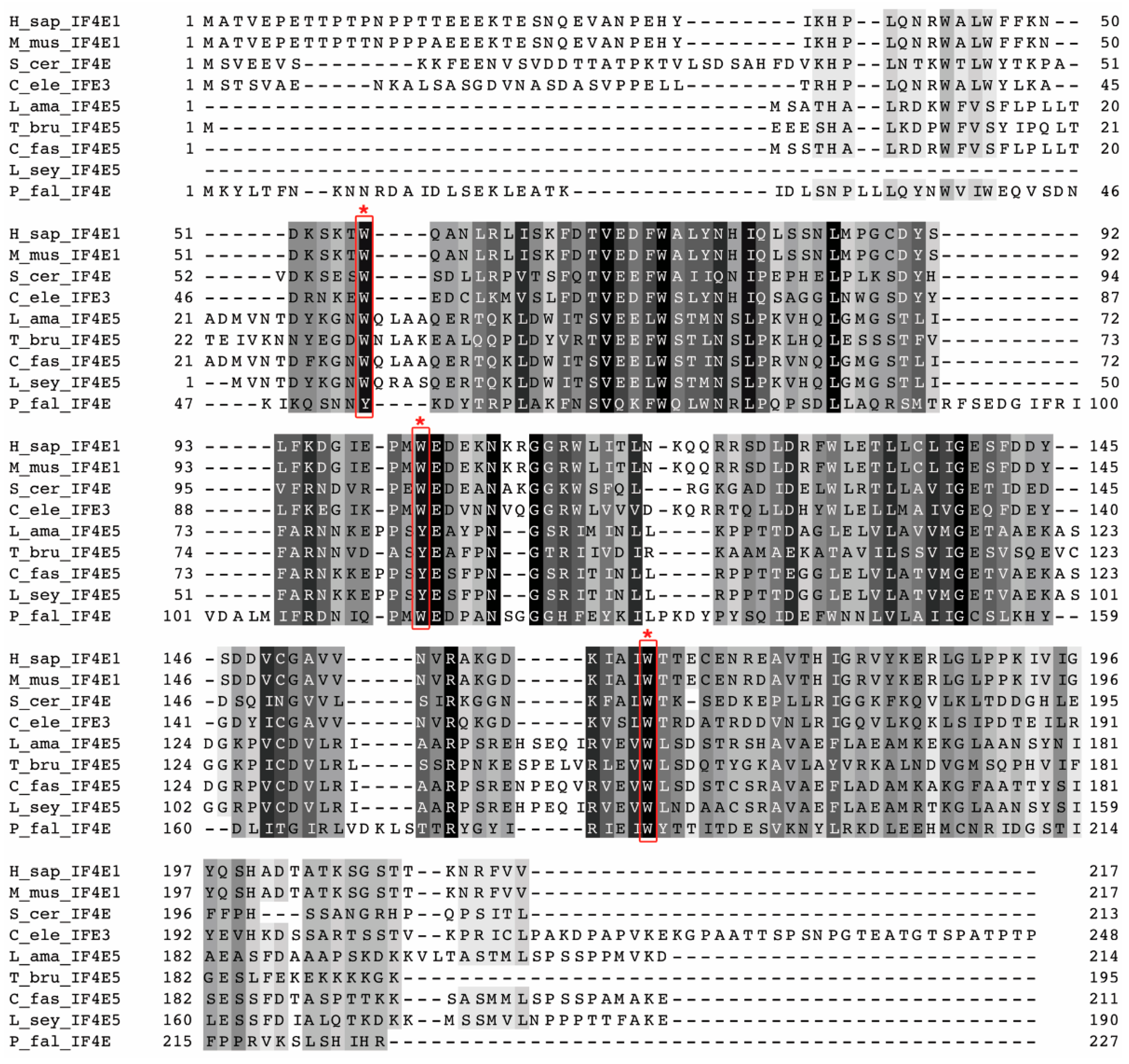 Ijms Free Full Text Leishif4e 5 Is A Promastigote Specific Cap Binding Protein In Leishmania Html