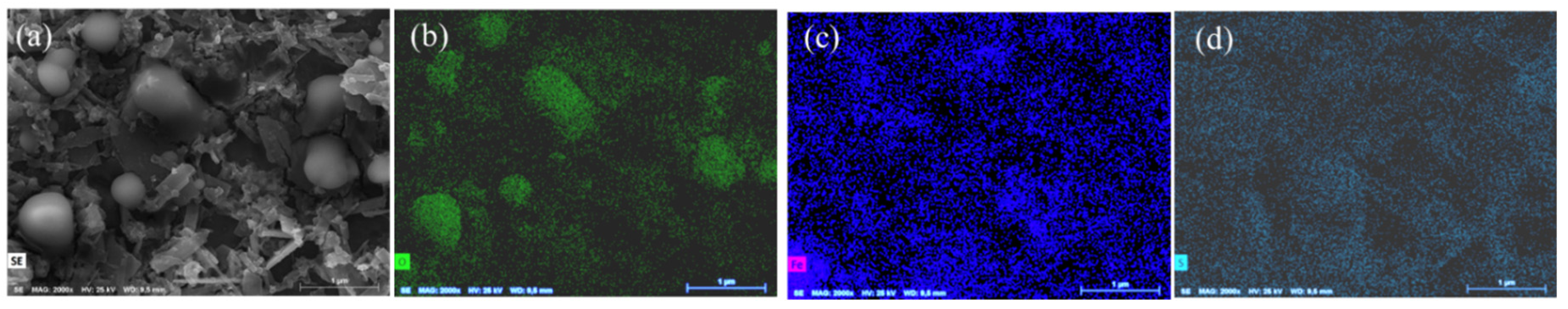 Ijms 22 03980 g002 Ijms 22 03980 g002