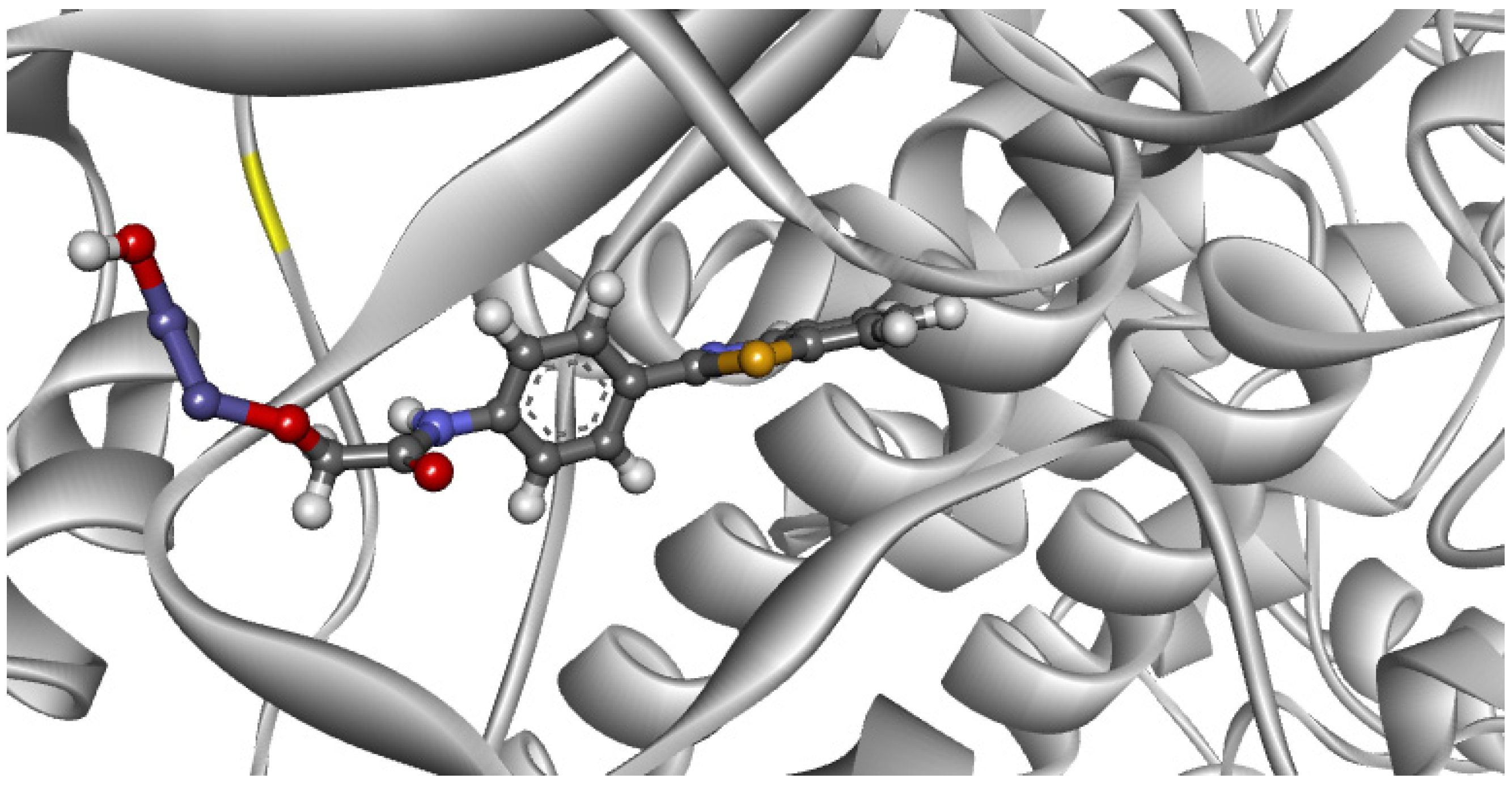 Ijms 22 03980 g009 Ijms 22 03980 g009