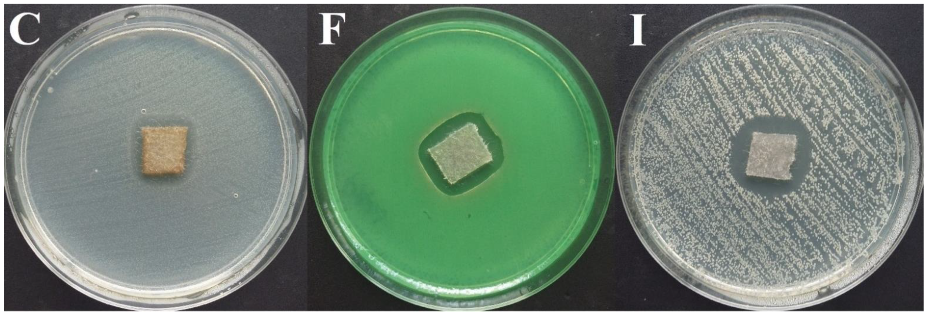 The in vitro efficacy of betadine antiseptic solution and colloidal silver  gel combination in inhibiting the growth of bacterial biofilms -  ScienceDirect