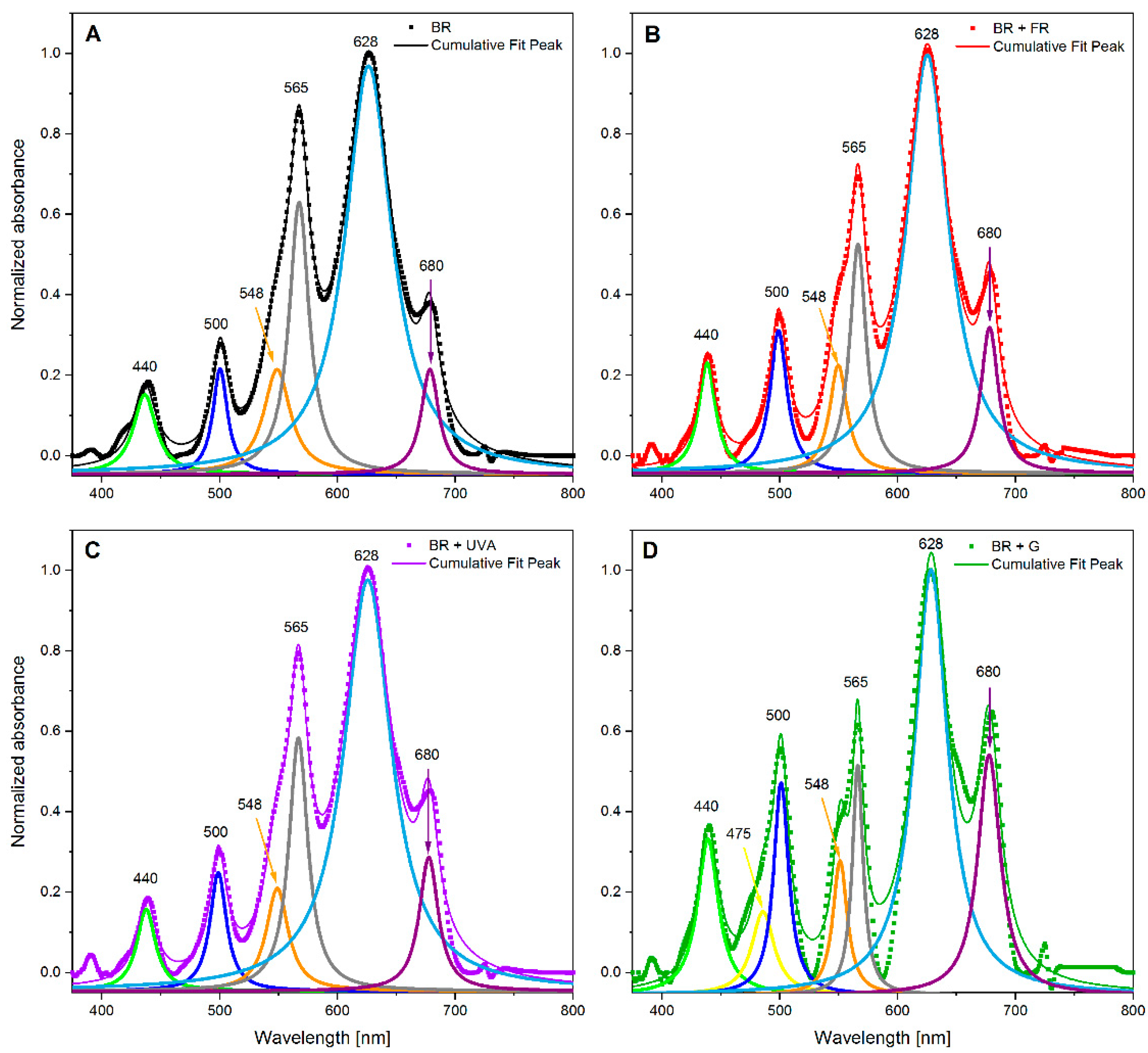 Ijms 22 04021 g004 Ijms 22 04021 g004