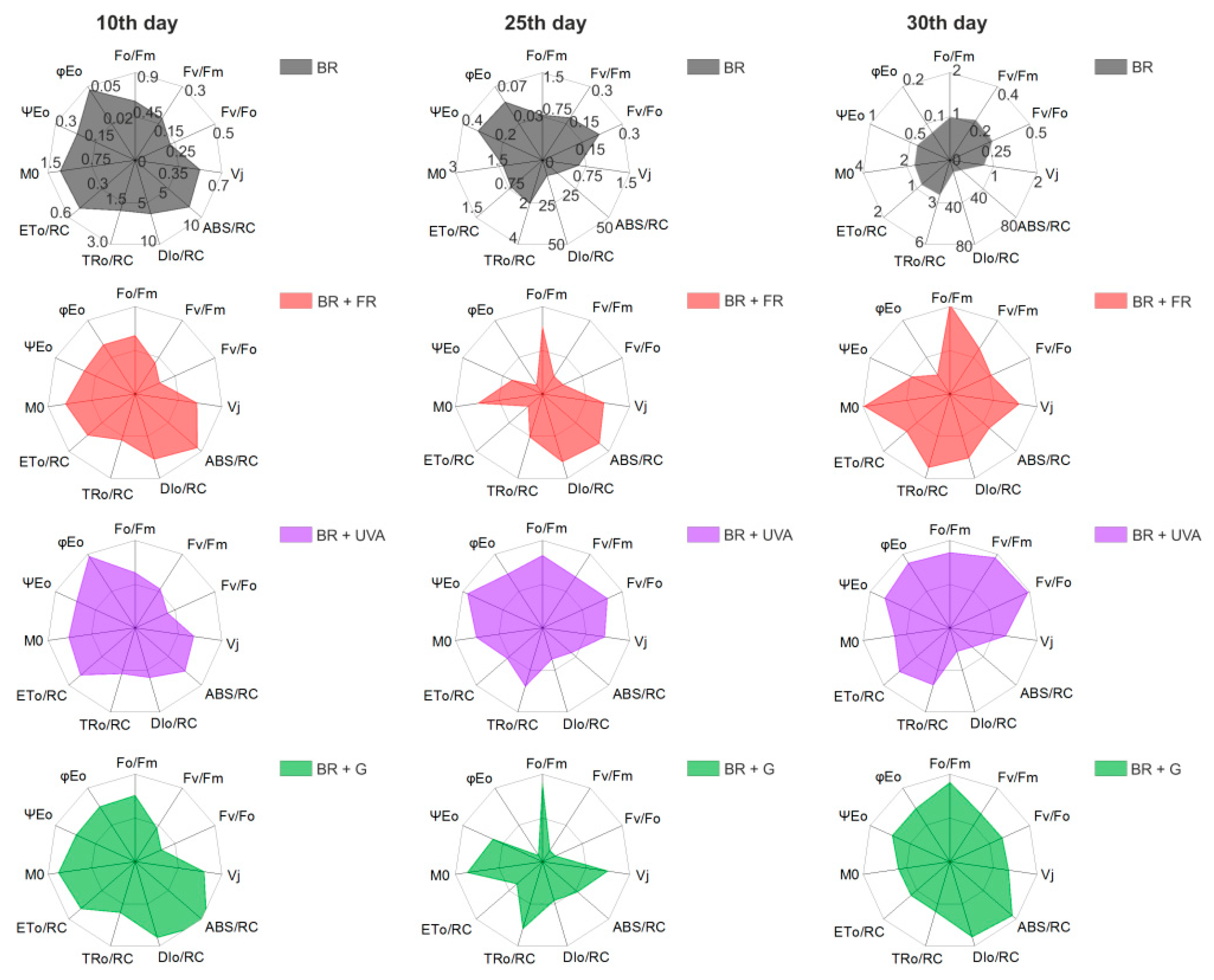 Ijms 22 04021 g006 Ijms 22 04021 g006