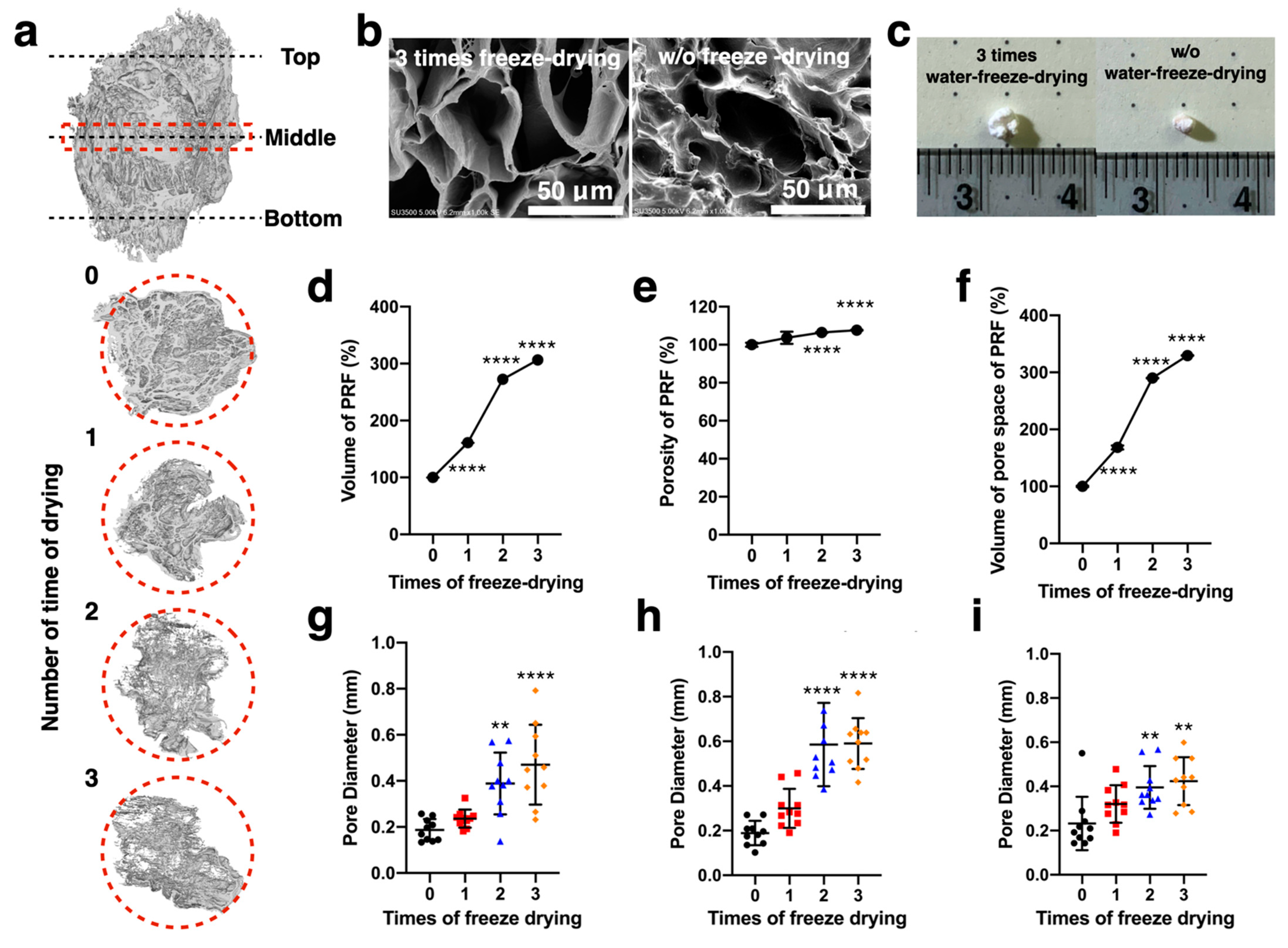 Ijms 22 04022 g002 Ijms 22 04022 g002