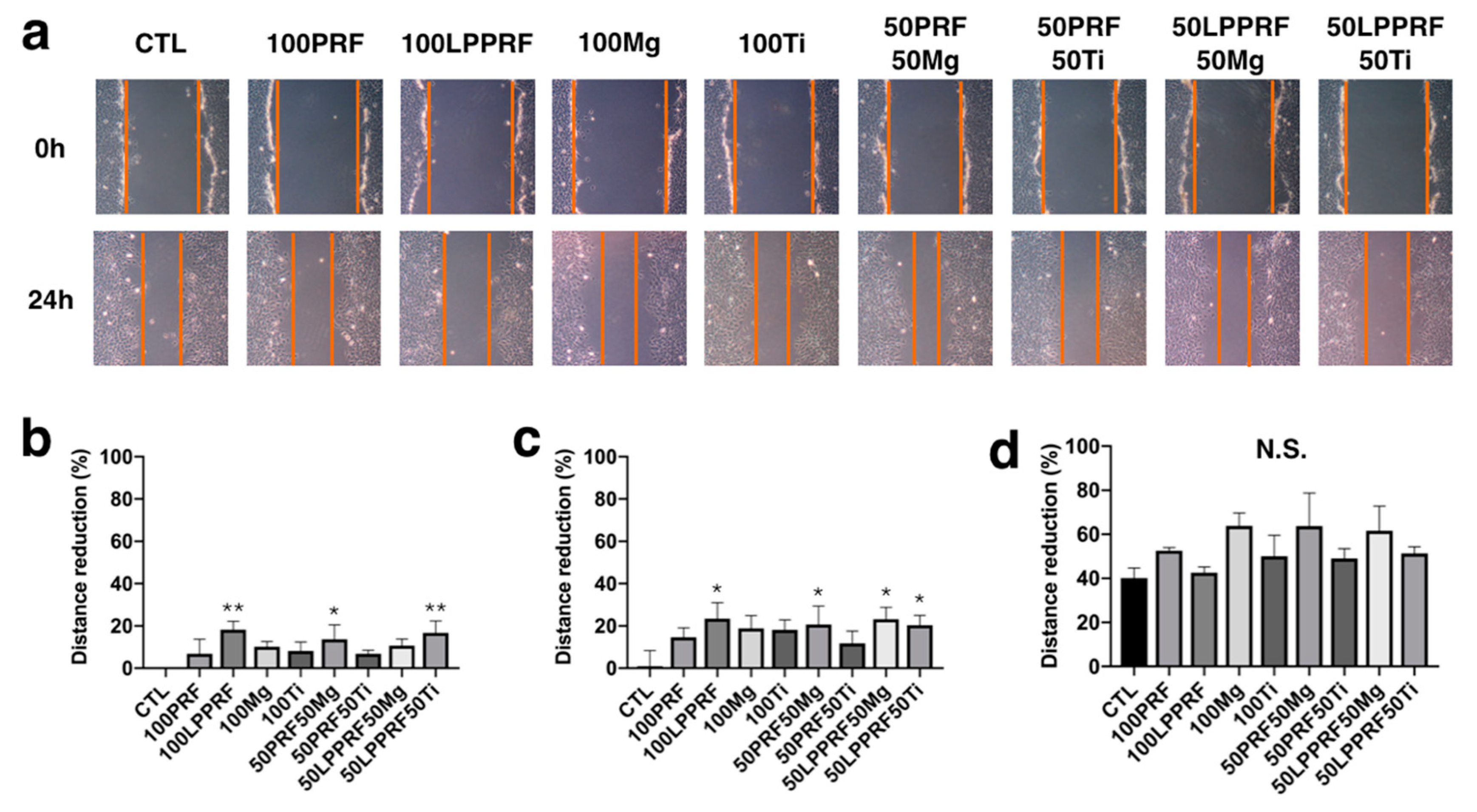 Ijms 22 04022 g007 Ijms 22 04022 g007
