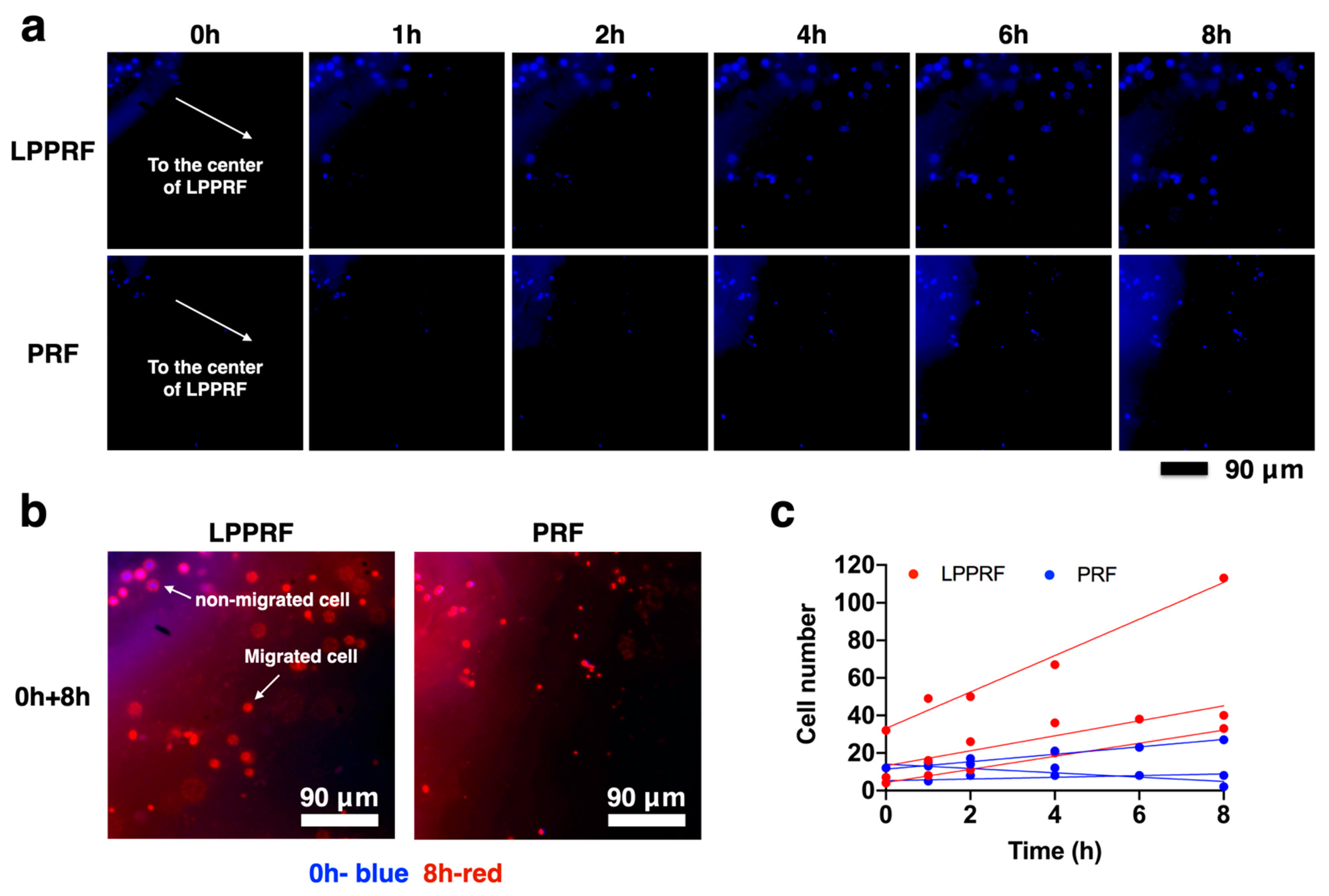 Ijms 22 04022 g008 Ijms 22 04022 g008