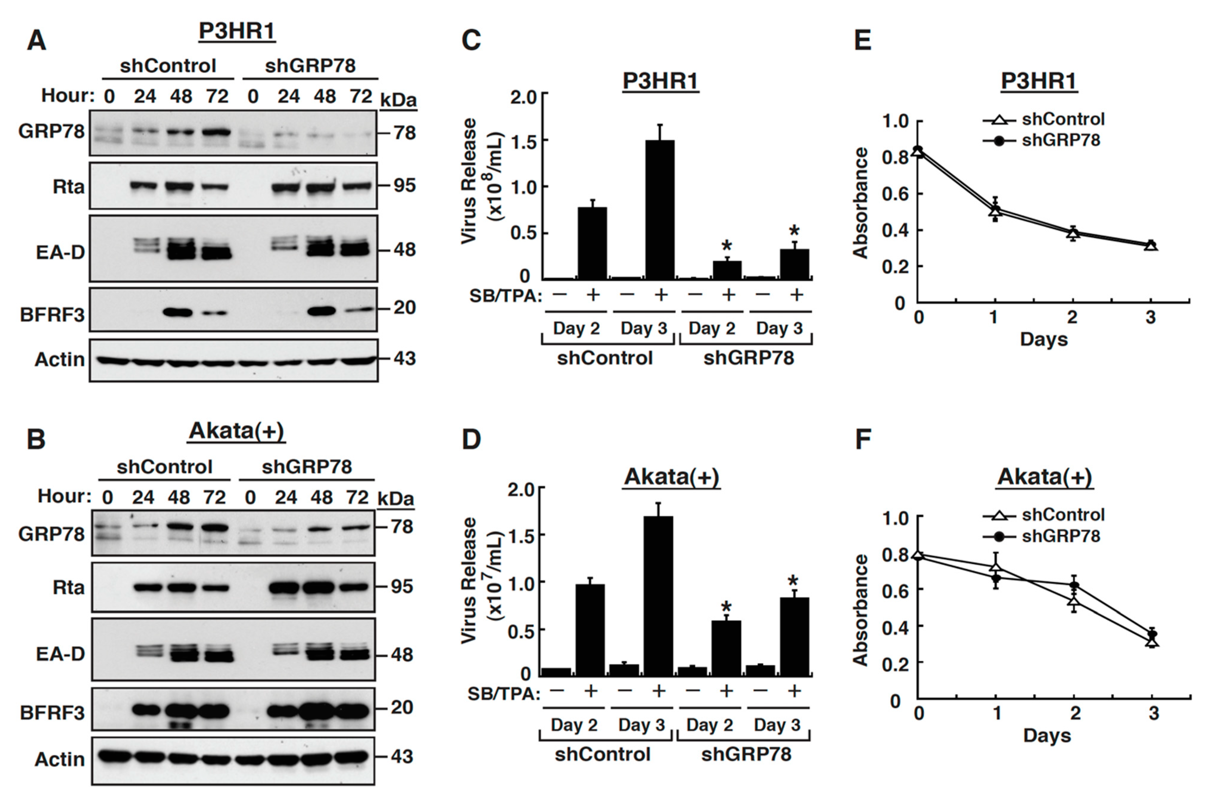 Ijms 22 04024 g002 Ijms 22 04024 g002