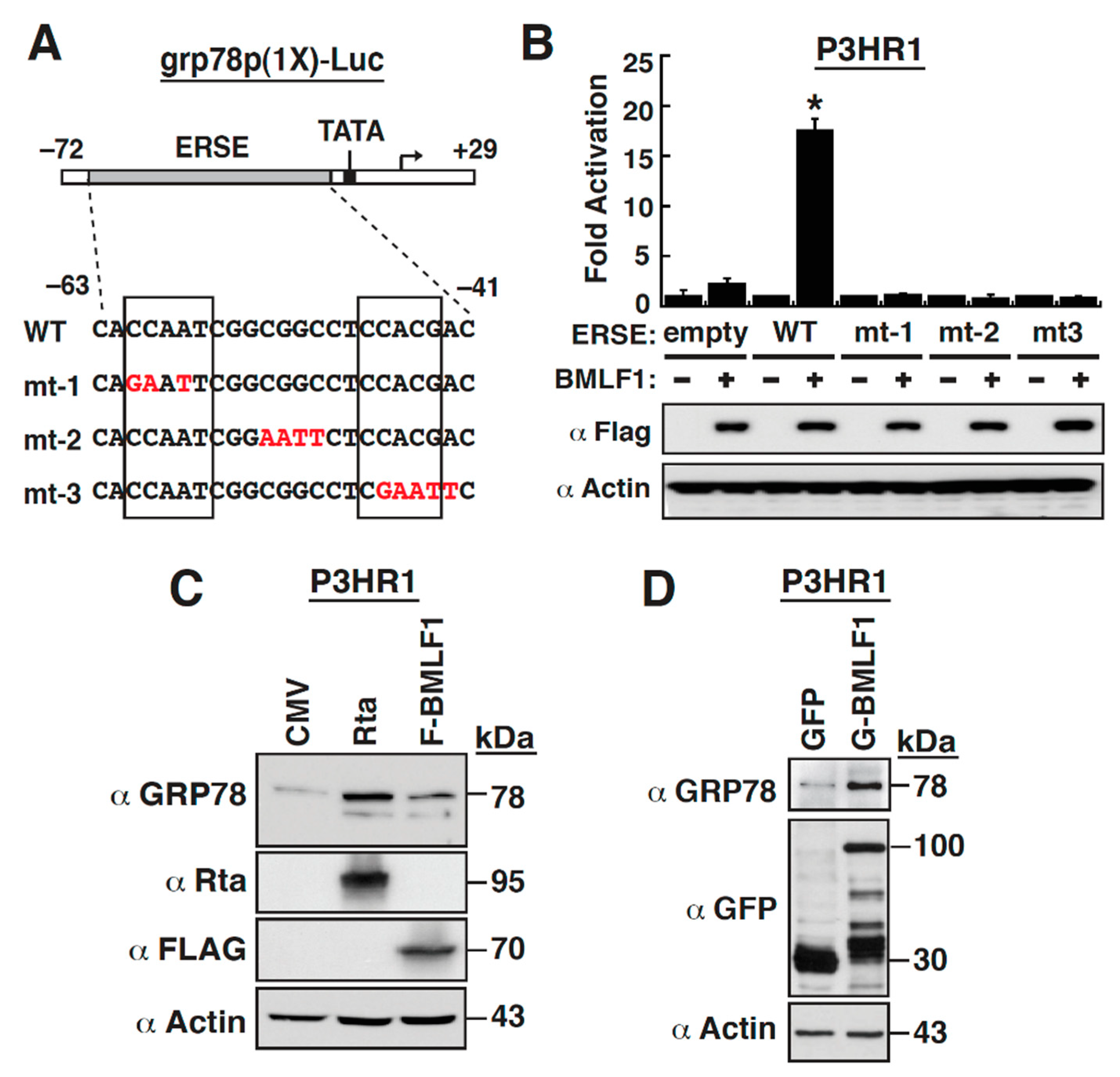 Ijms 22 04024 g005 Ijms 22 04024 g005