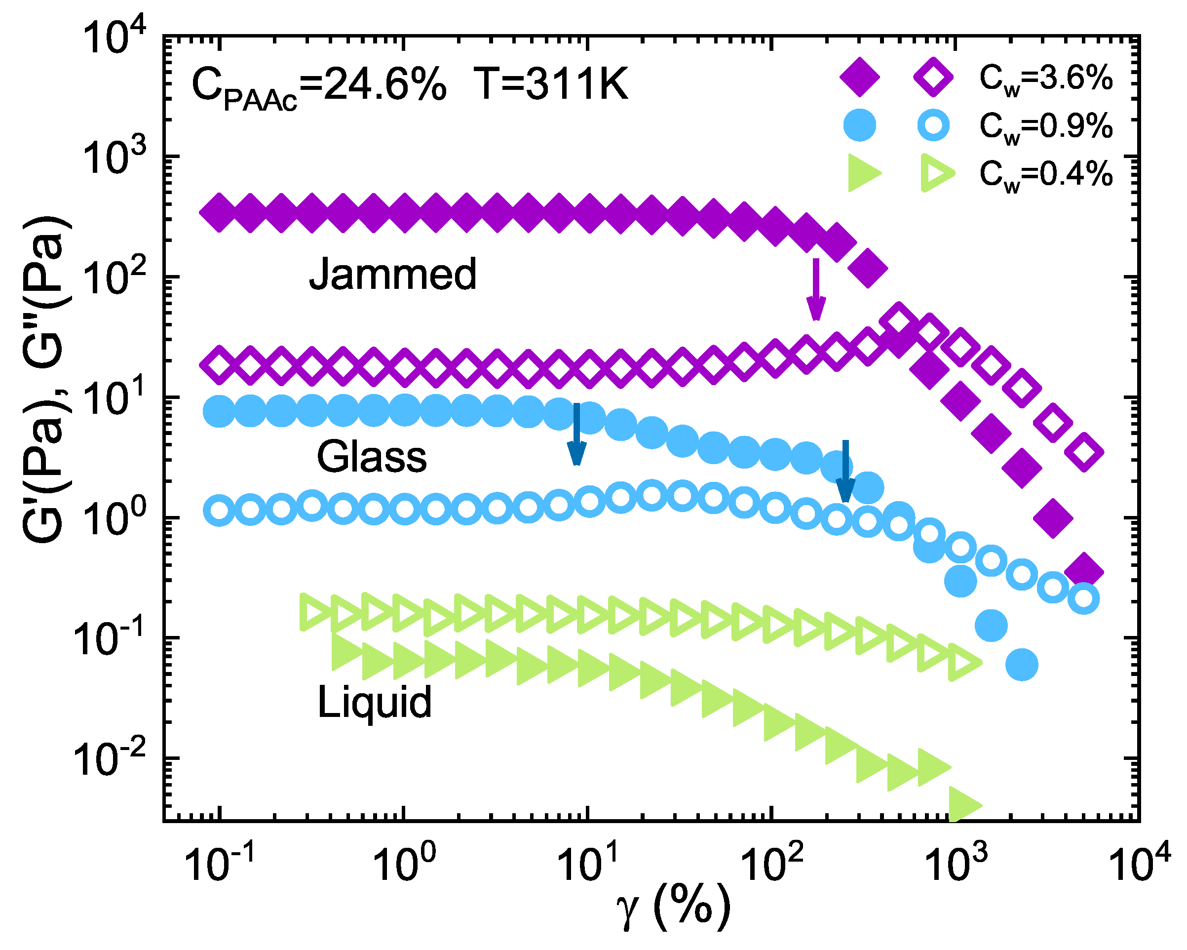 Ijms 22 04032 g008 Ijms 22 04032 g008