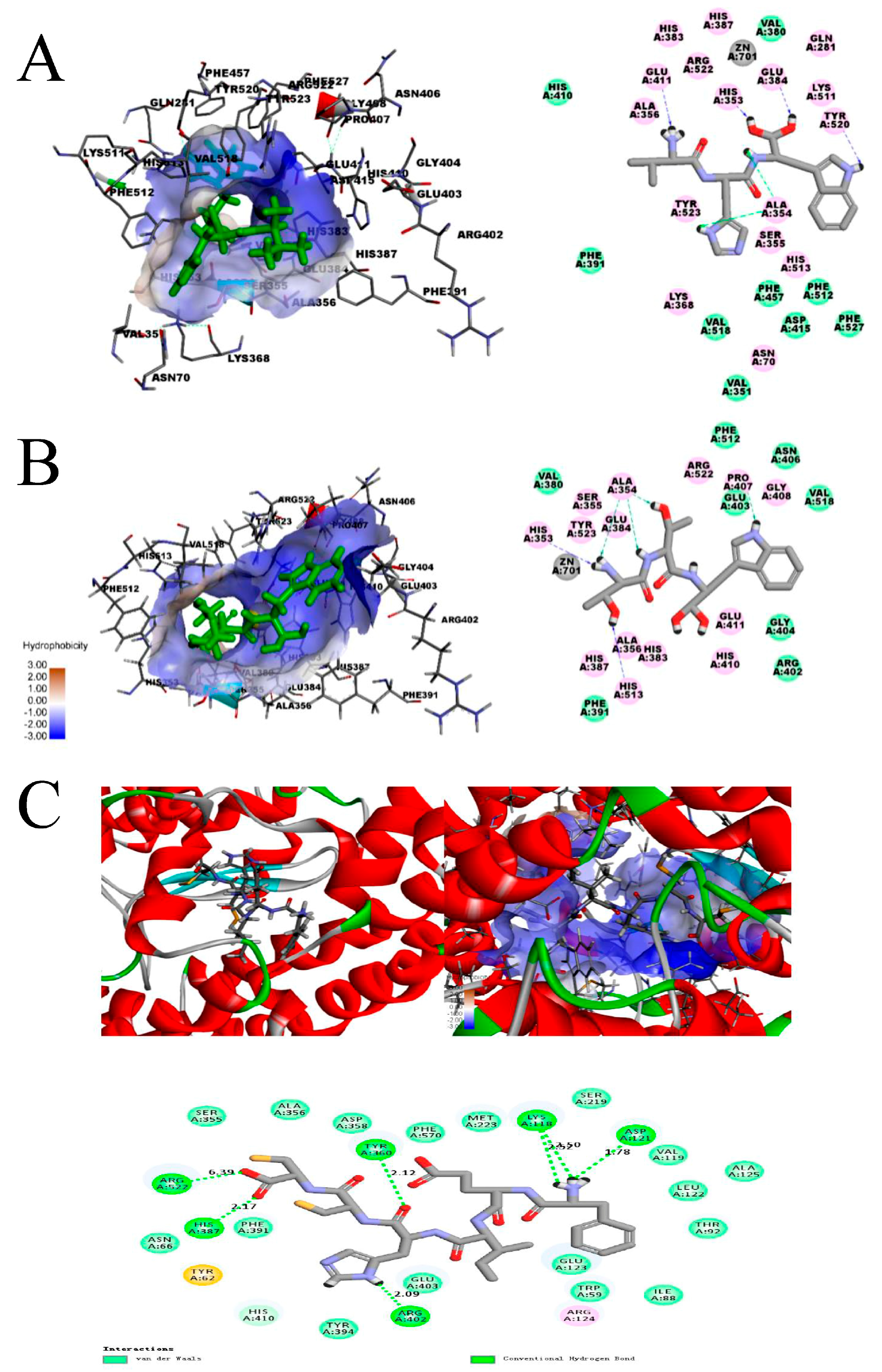 Ijms 22 04068 g003 Ijms 22 04068 g003