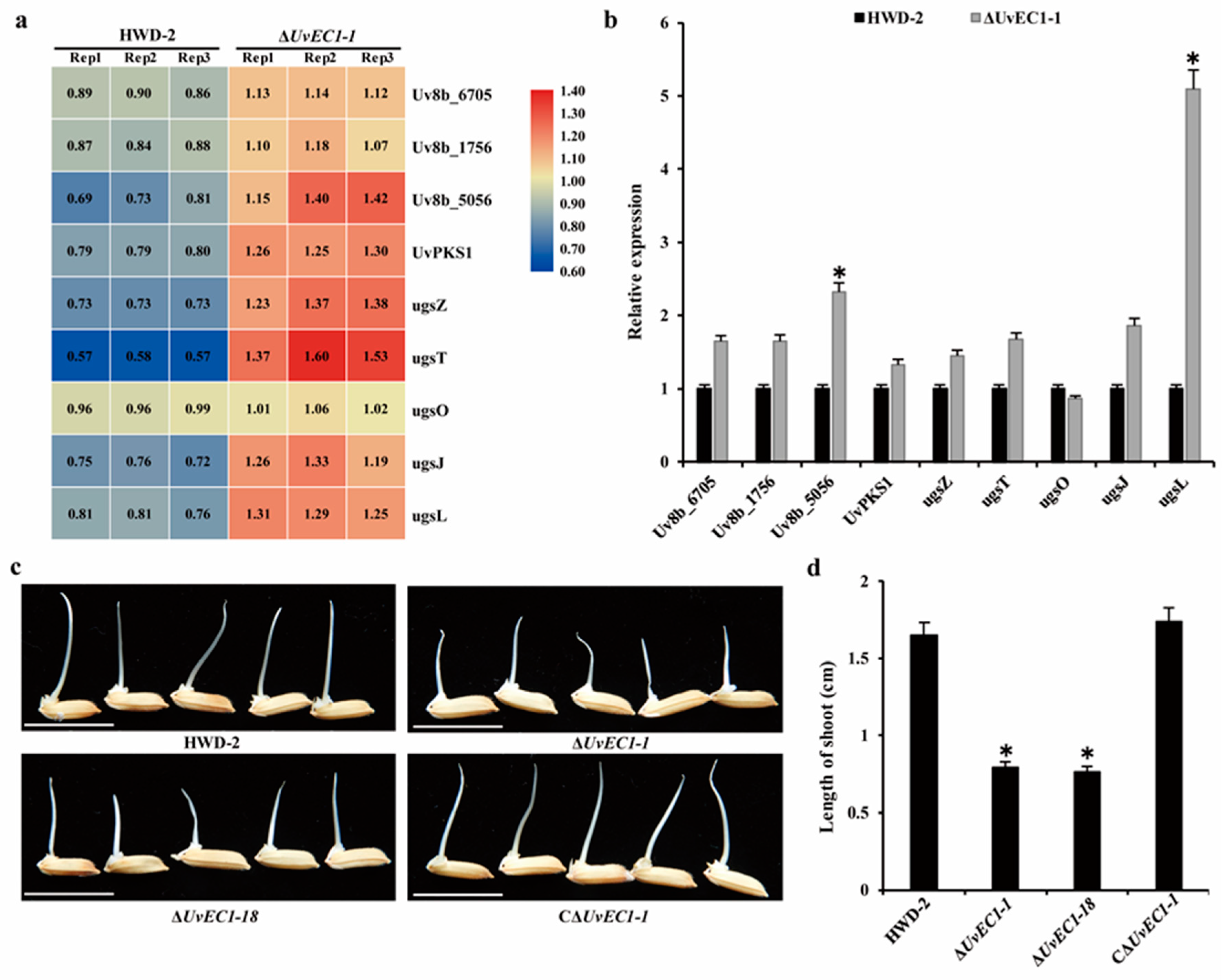Ijms 22 04069 g009 Ijms 22 04069 g009