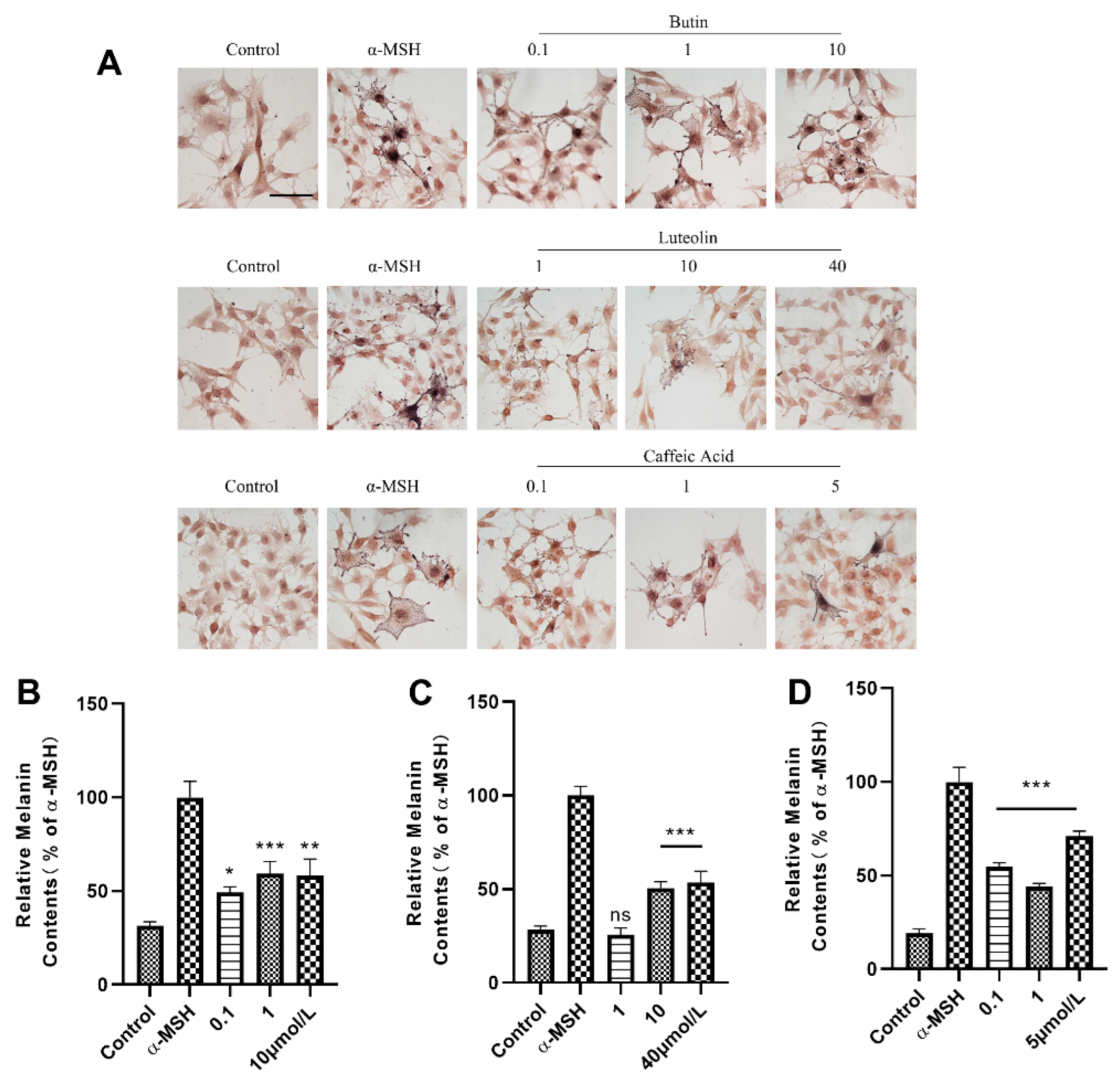 Ijms 22 04073 g003 Ijms 22 04073 g003