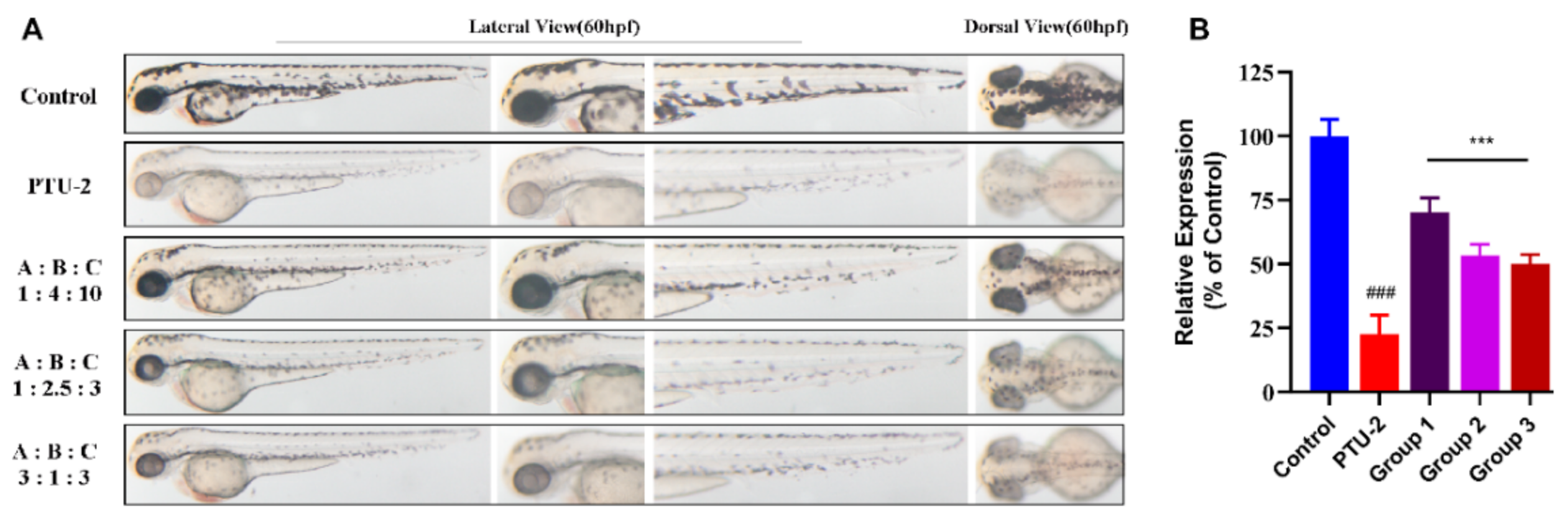 Ijms 22 04073 g010 Ijms 22 04073 g010