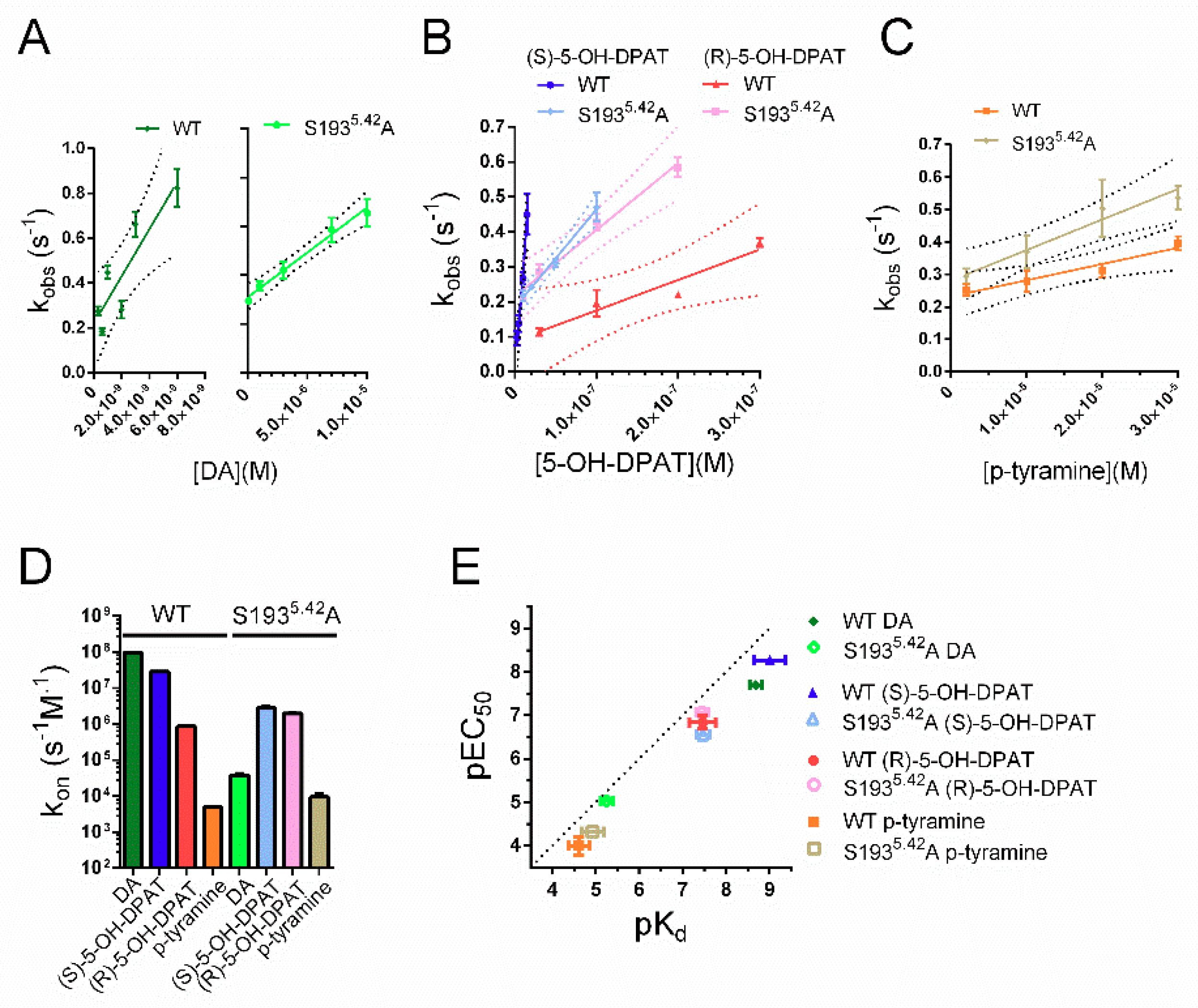Ijms 22 04078 g003 Ijms 22 04078 g003