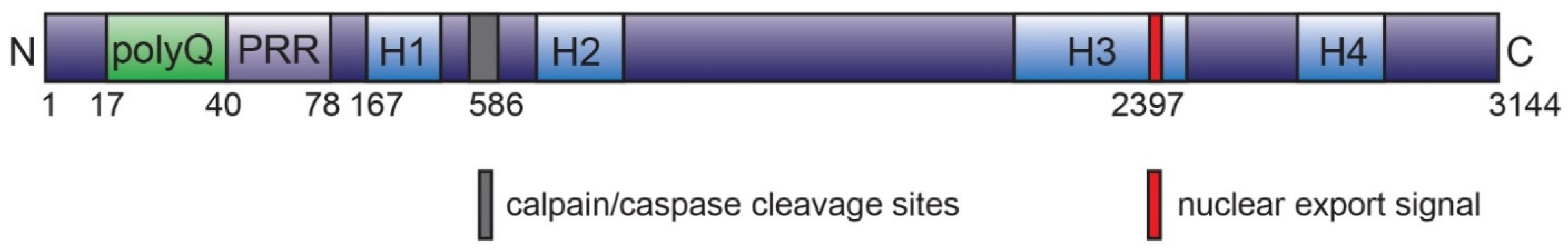 Ijms 22 04085 g002 Ijms 22 04085 g002