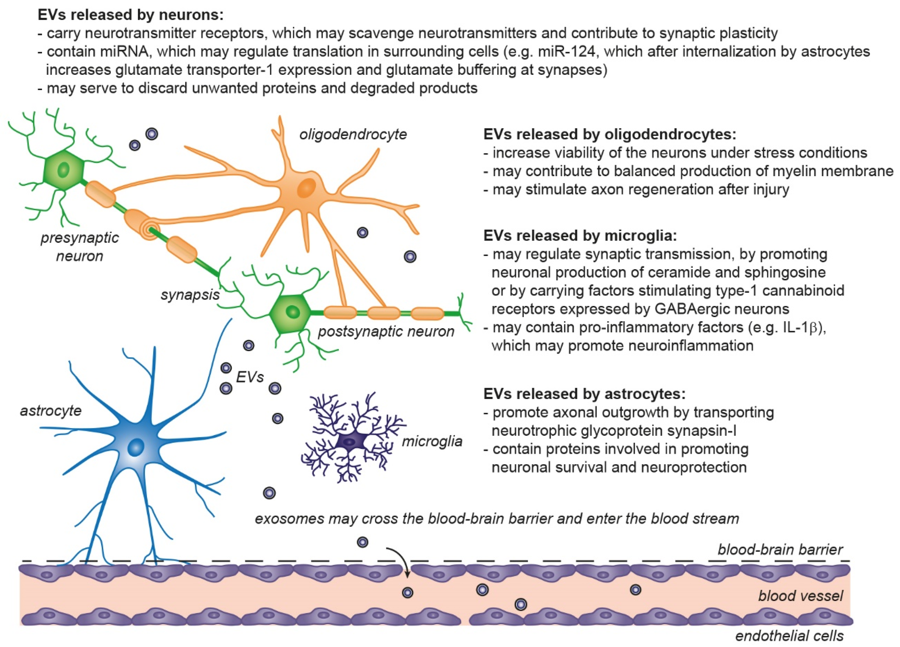 Ijms 22 04085 g004 Ijms 22 04085 g004