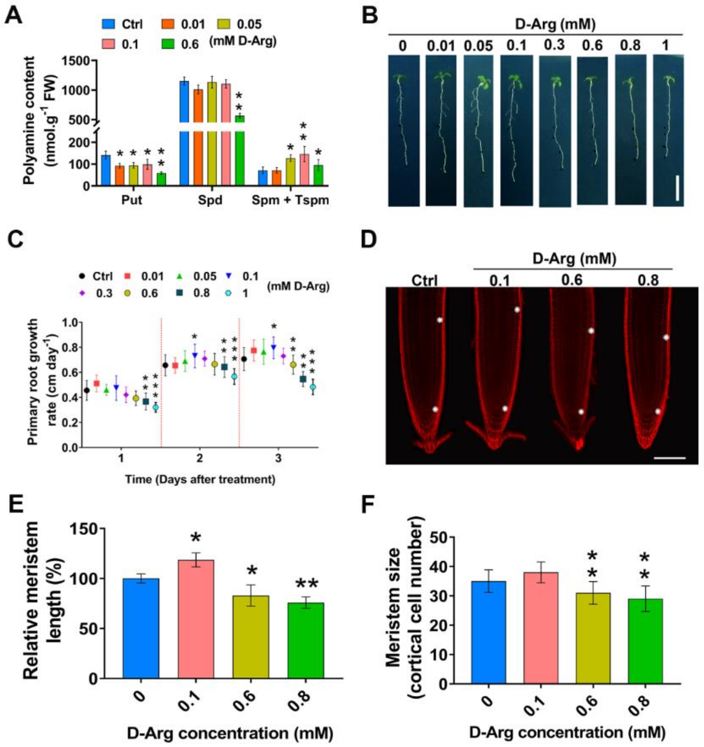 Ijms 22 04094 g002 Ijms 22 04094 g002