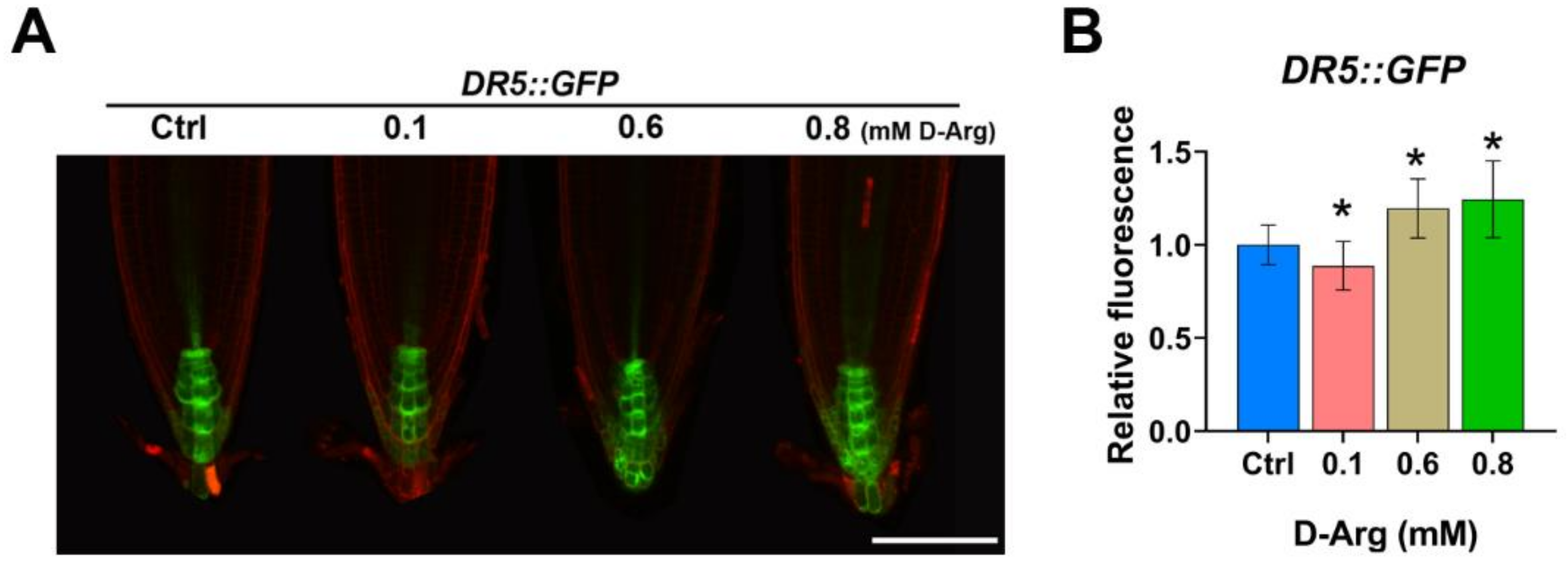 Ijms 22 04094 g005 Ijms 22 04094 g005