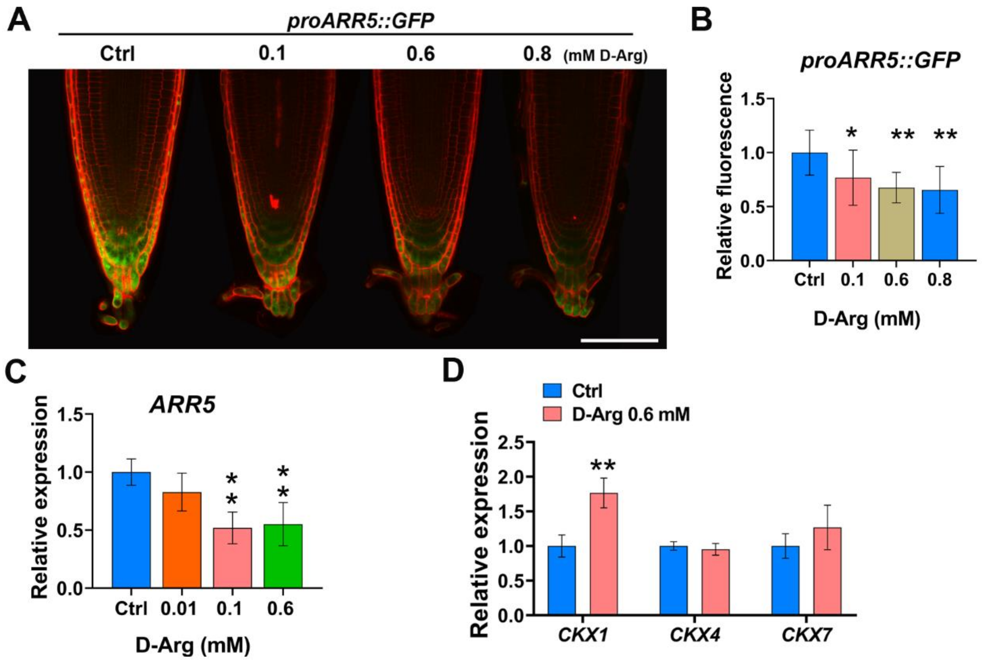 Ijms 22 04094 g006 Ijms 22 04094 g006