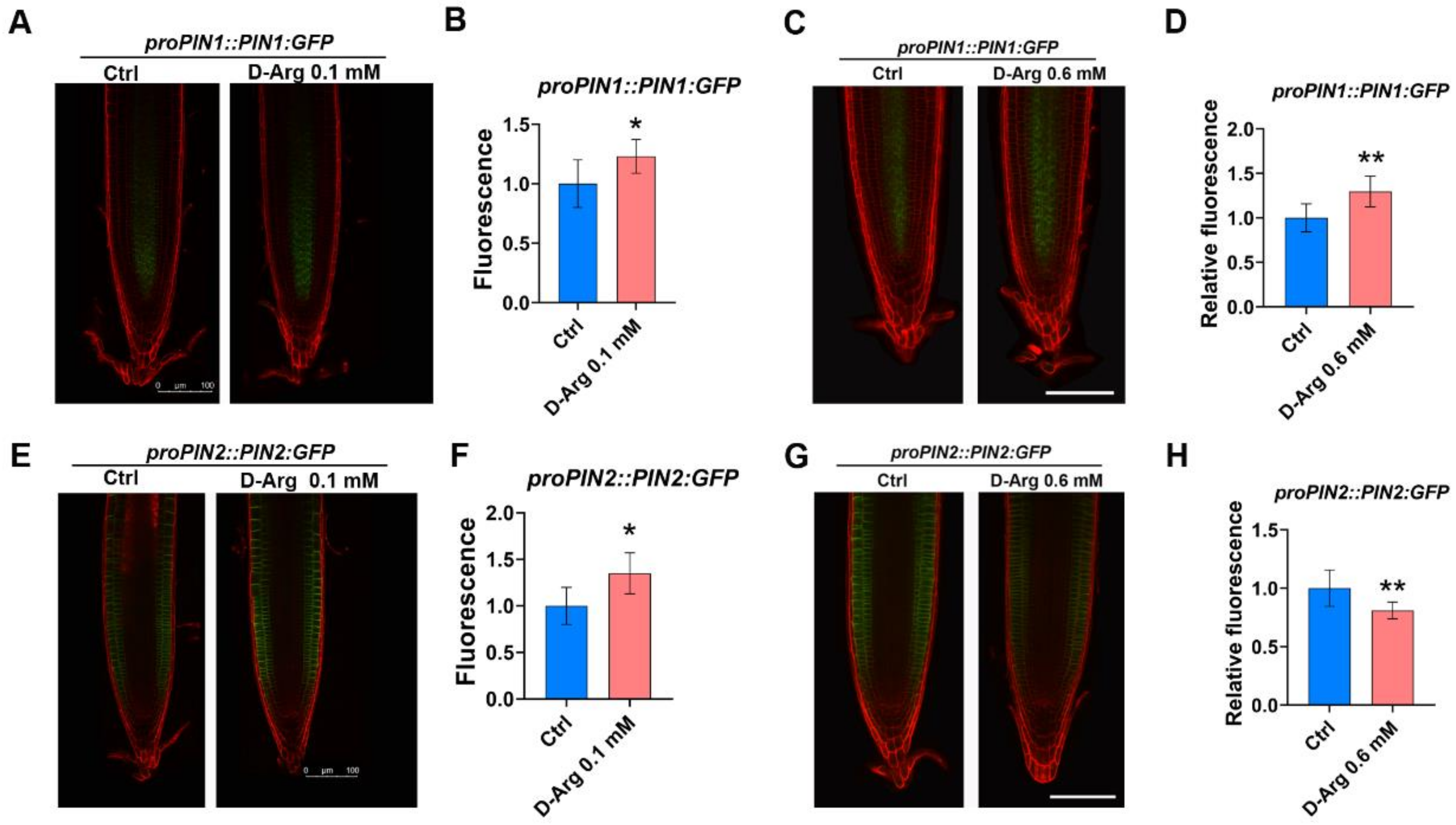 Ijms 22 04094 g007 Ijms 22 04094 g007