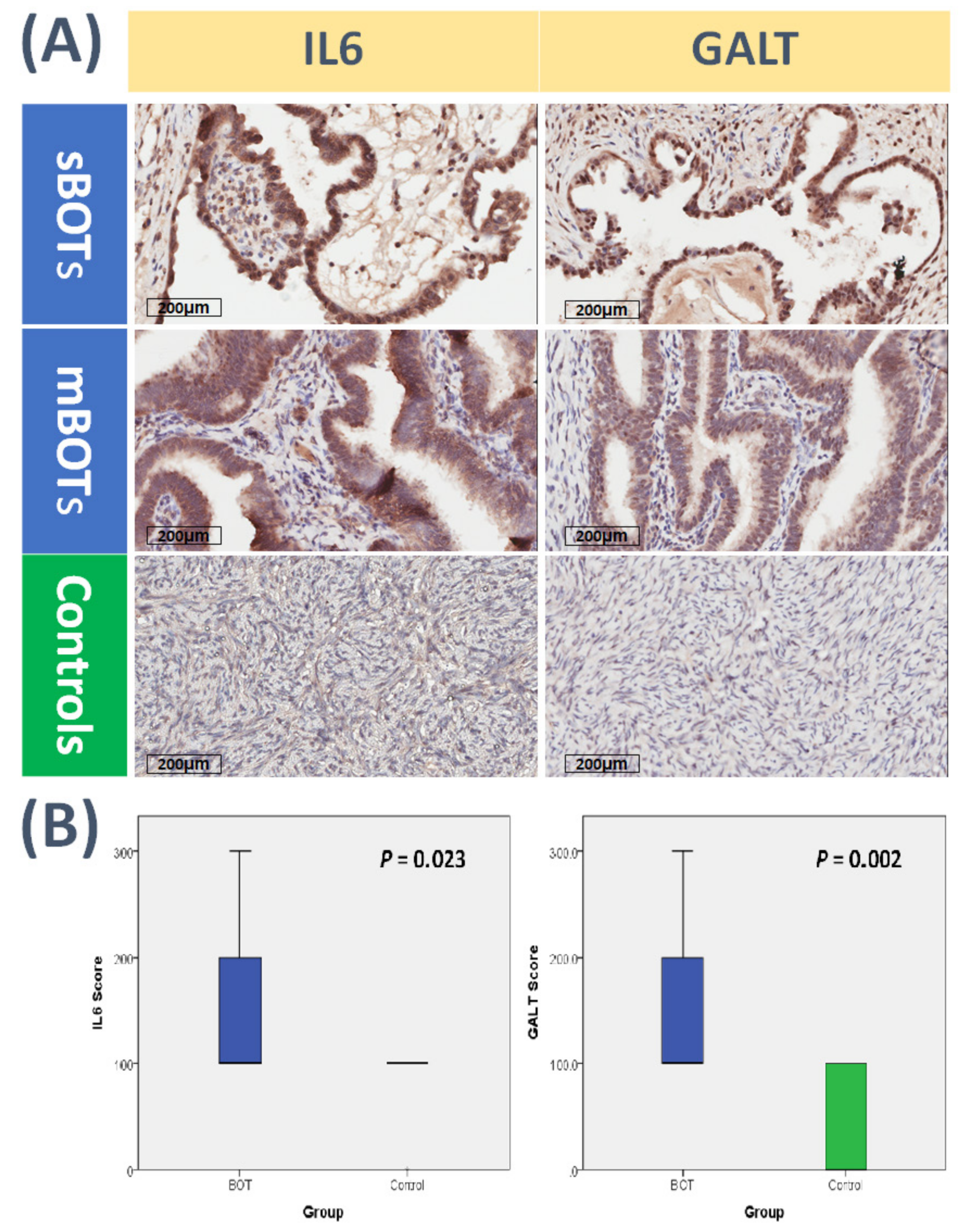 Ijms 22 04105 g008 Ijms 22 04105 g008