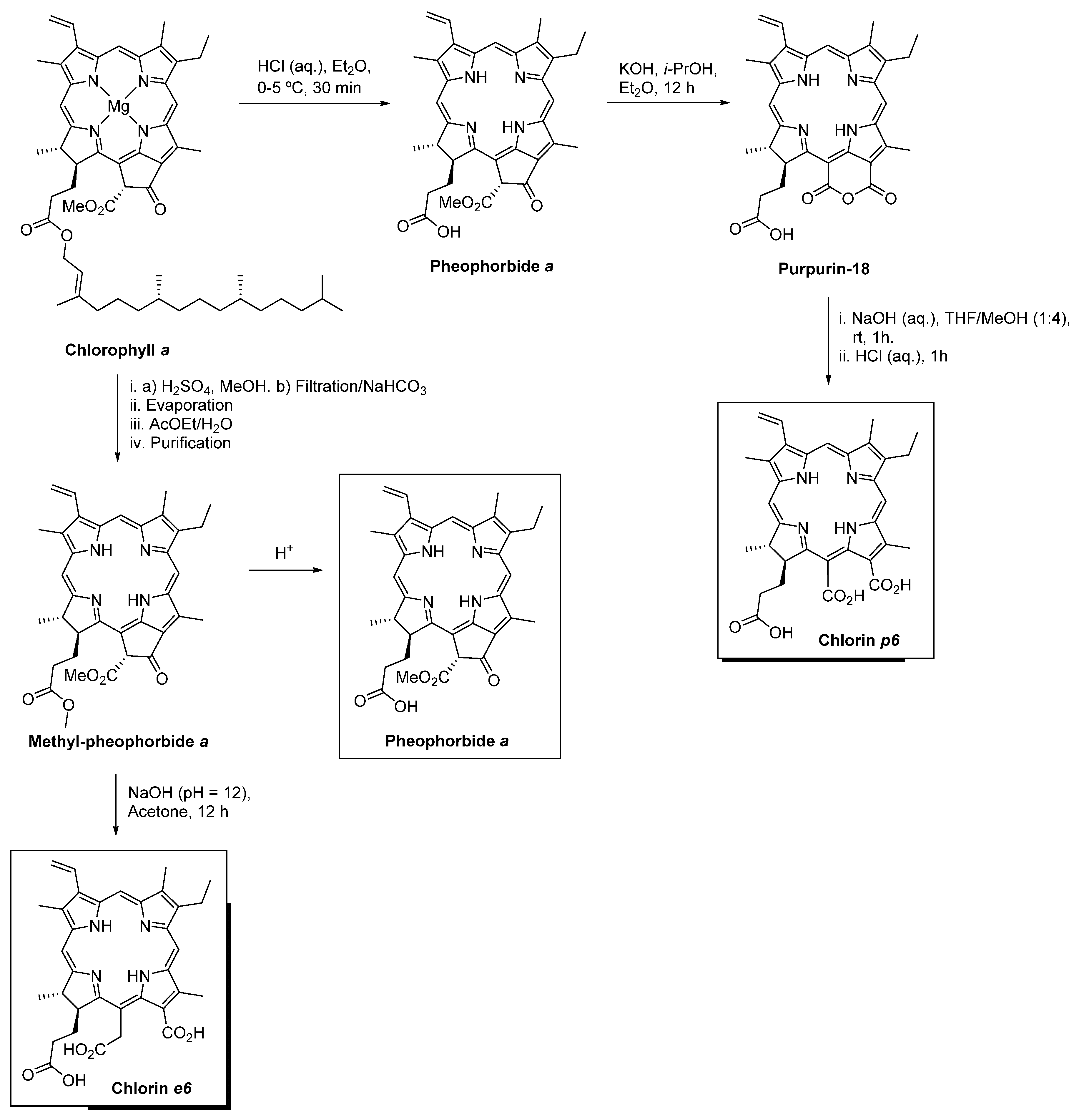 Ijms 22 04121 g014 Ijms 22 04121 g014