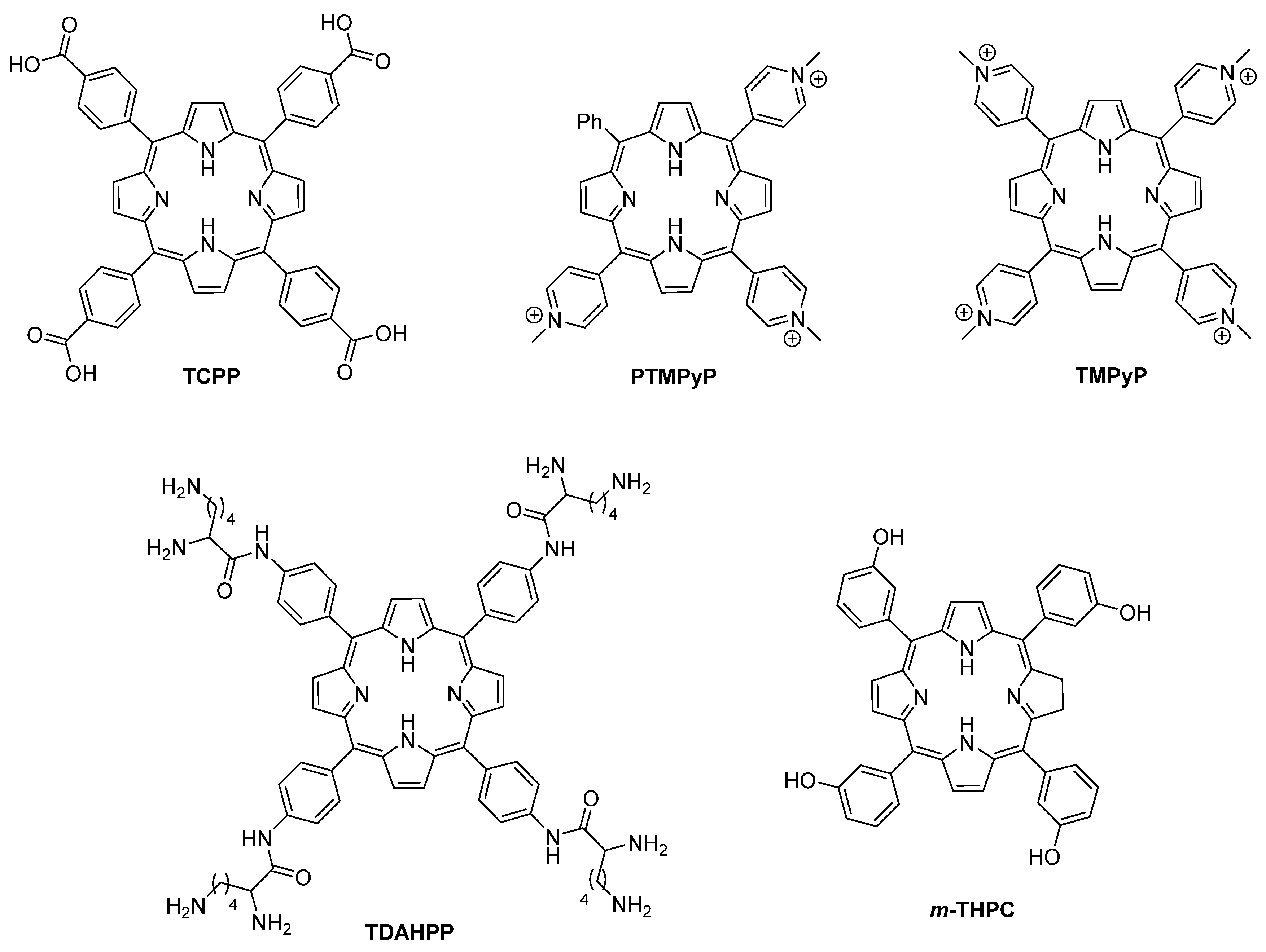 Ijms 22 04121 g026 Ijms 22 04121 g026