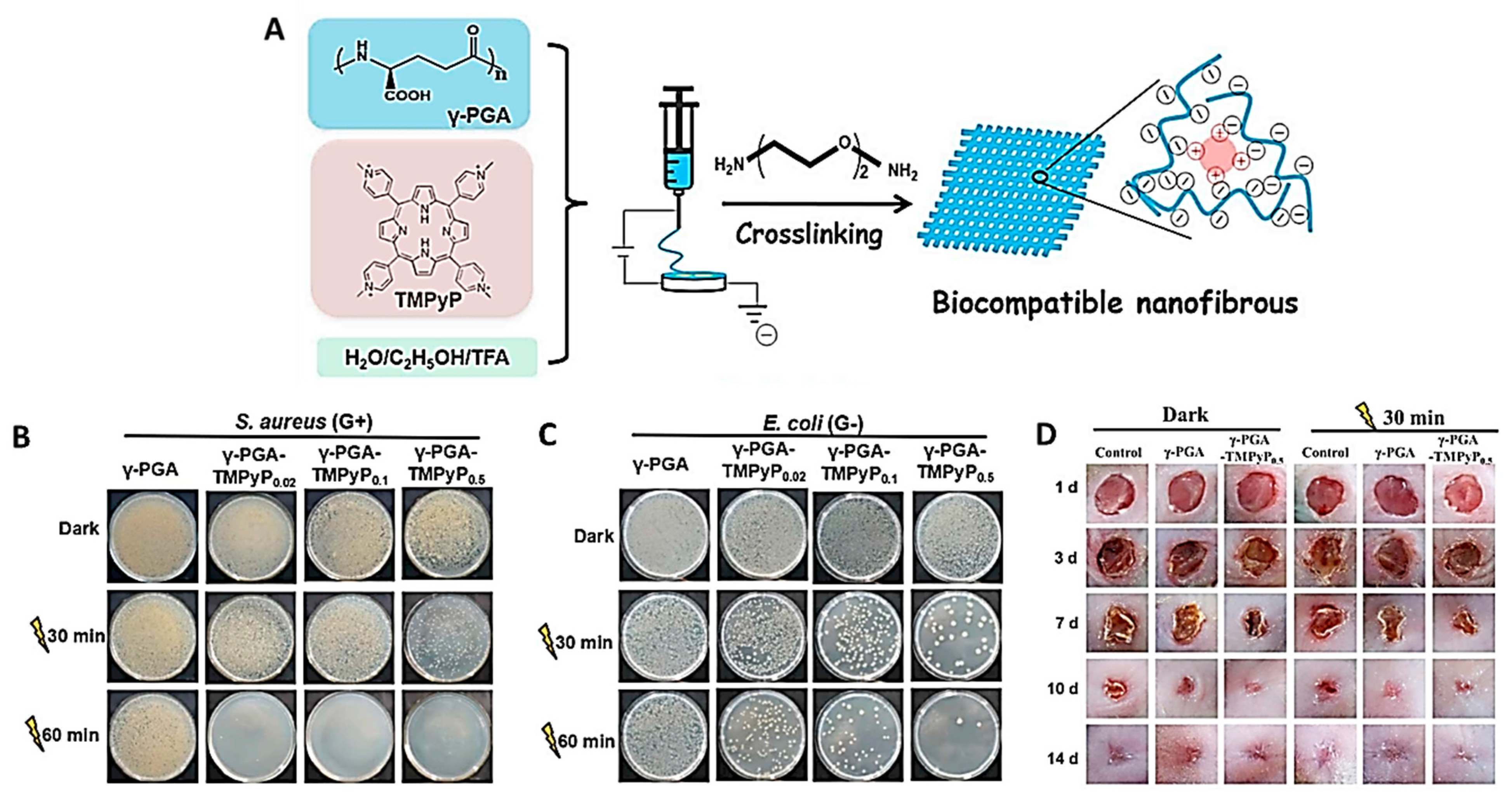 Ijms 22 04121 g033 Ijms 22 04121 g033