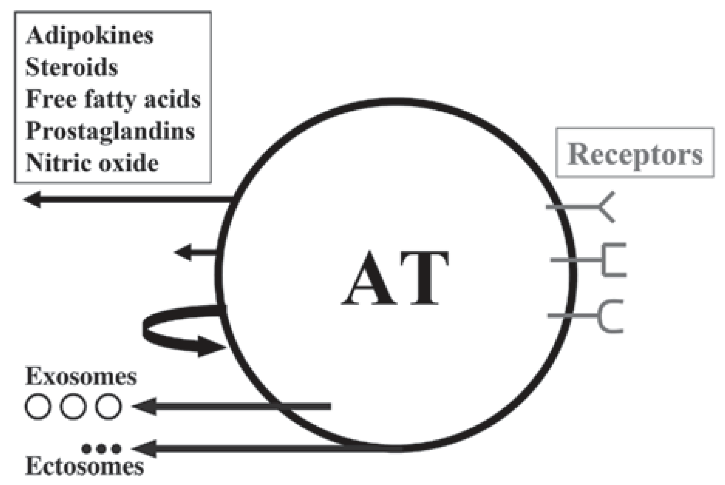 Ijms 22 04137 g003 Ijms 22 04137 g003