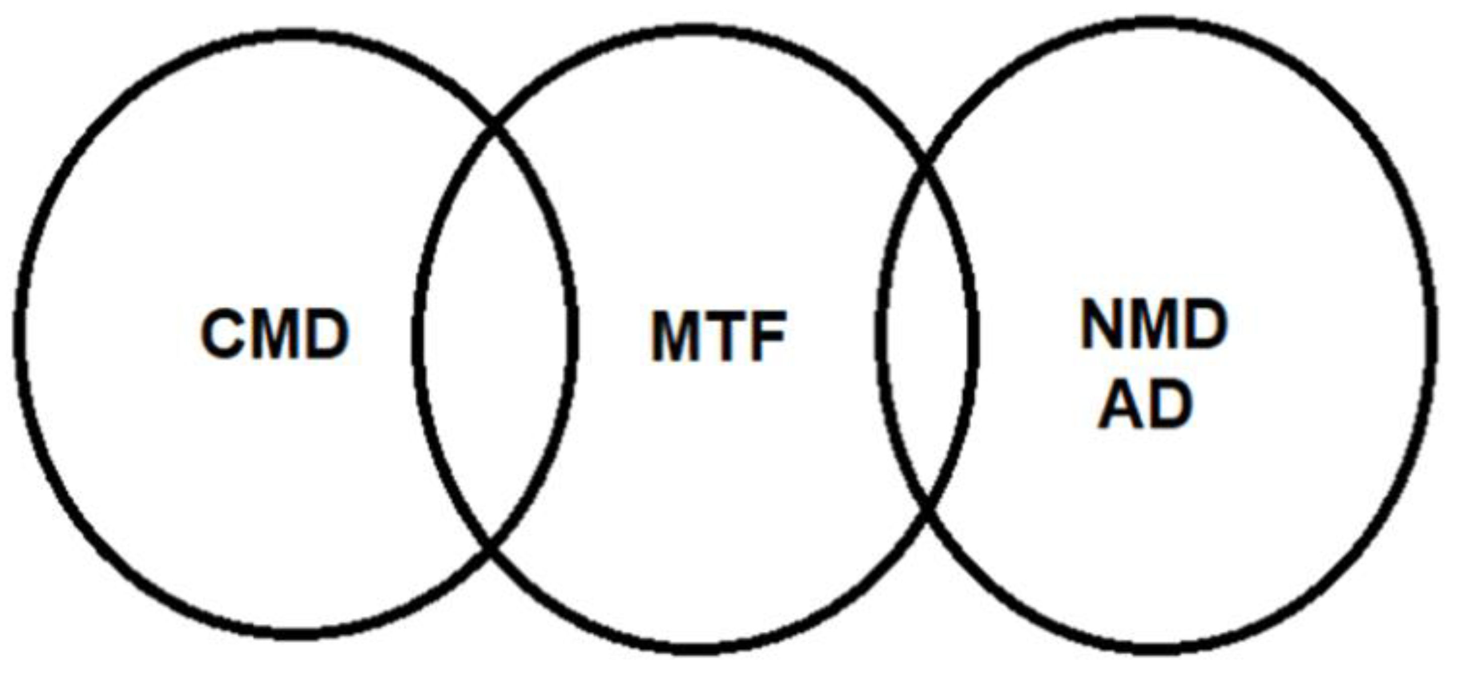 Ijms 22 04137 g006 Ijms 22 04137 g006