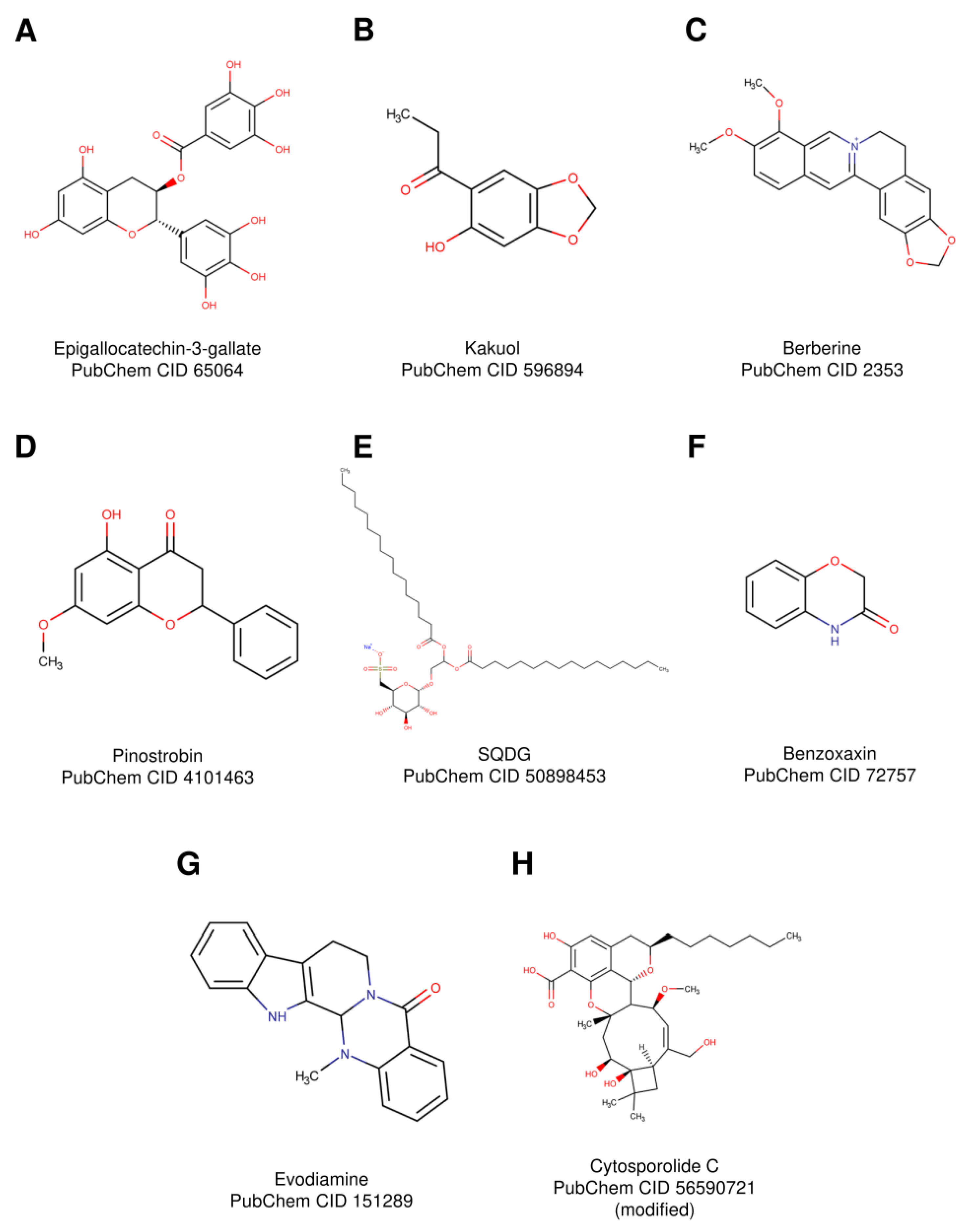 Ijms Free Full Text Natural Compounds As Therapeutic Agents The Case Of Human Topoisomerase Ib Html