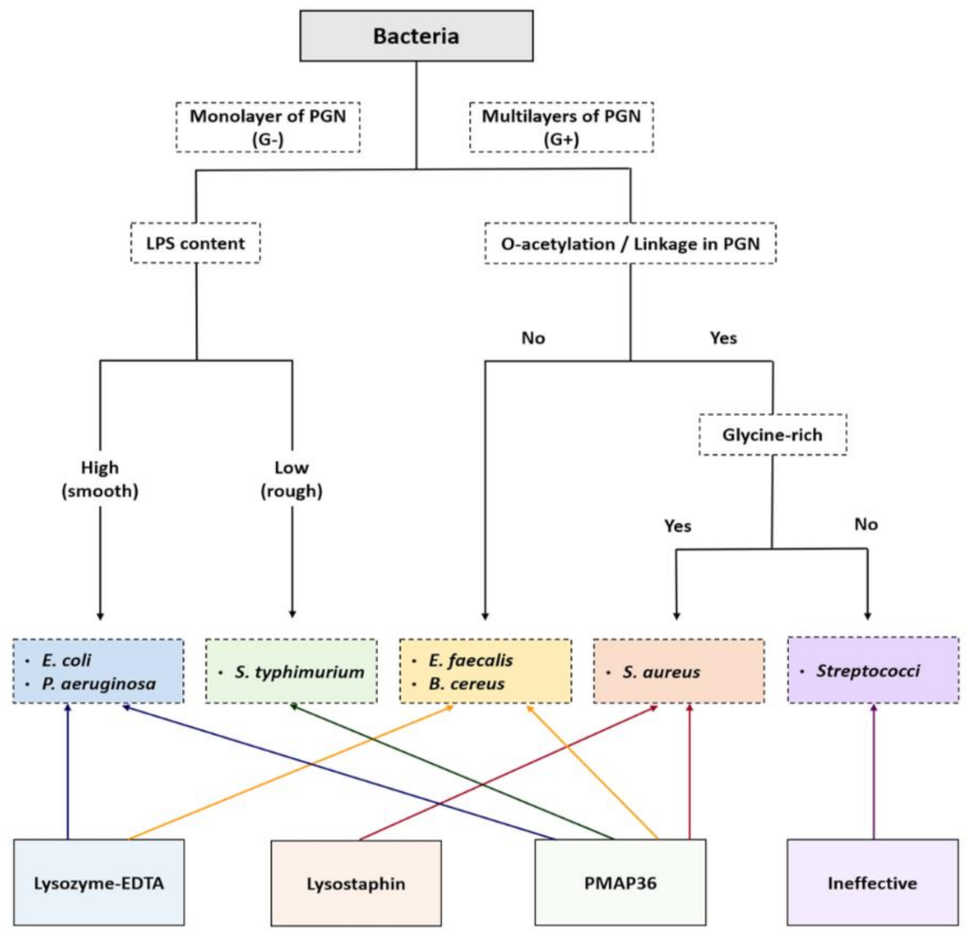 Ijms 22 04149 g002 Ijms 22 04149 g002