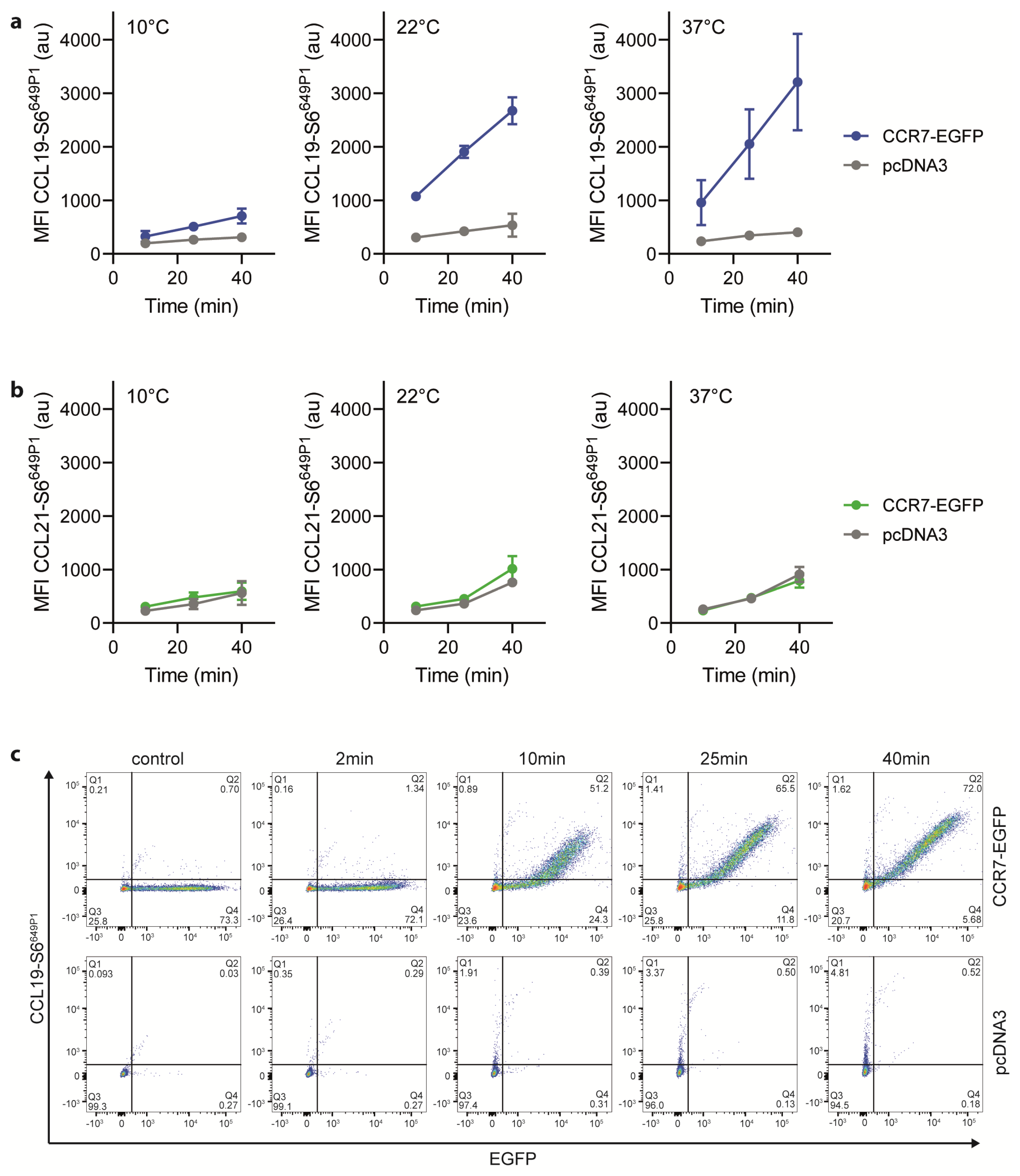 Ijms 22 04158 g004 Ijms 22 04158 g004