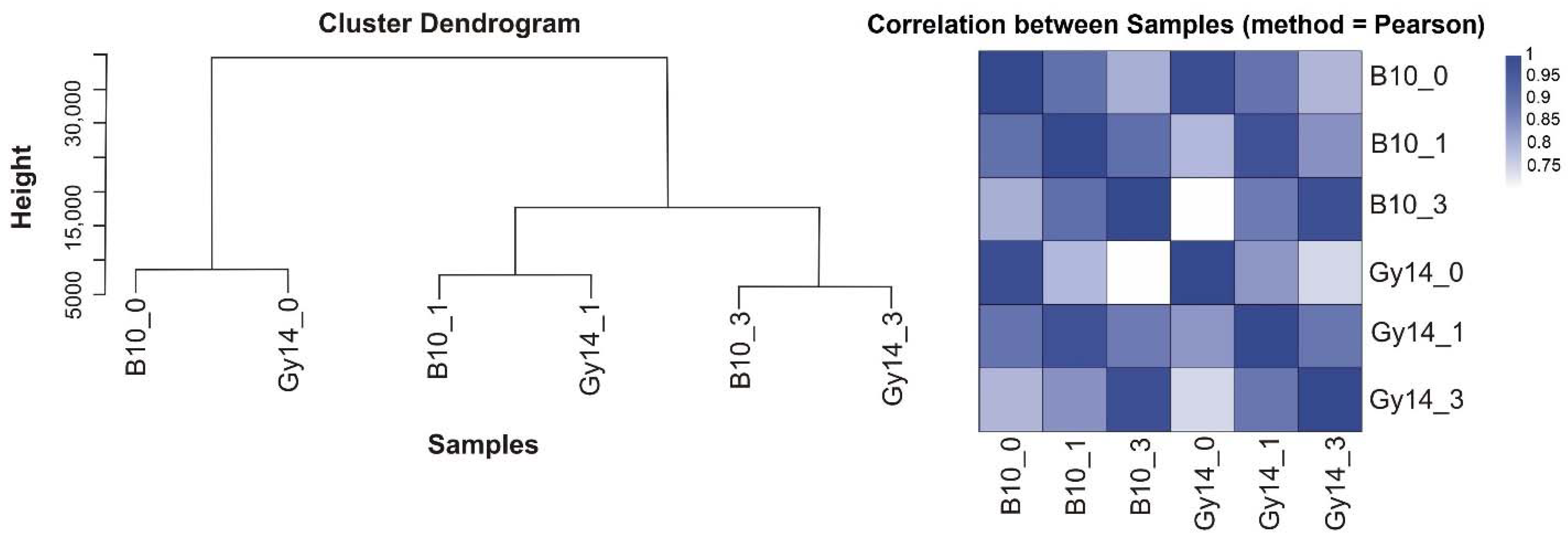 Ijms 22 04192 g002 Ijms 22 04192 g002