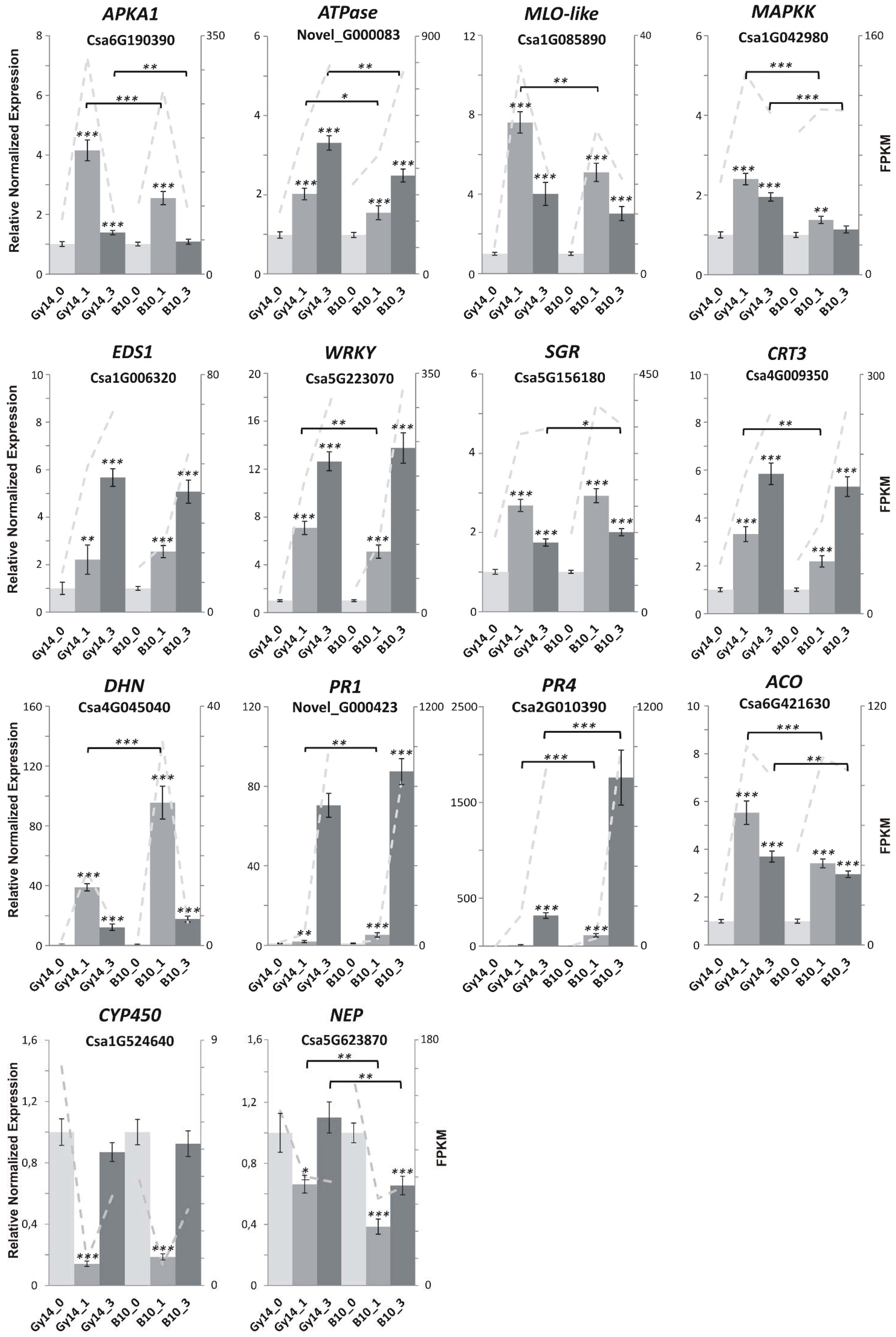 Ijms 22 04192 g005 Ijms 22 04192 g005