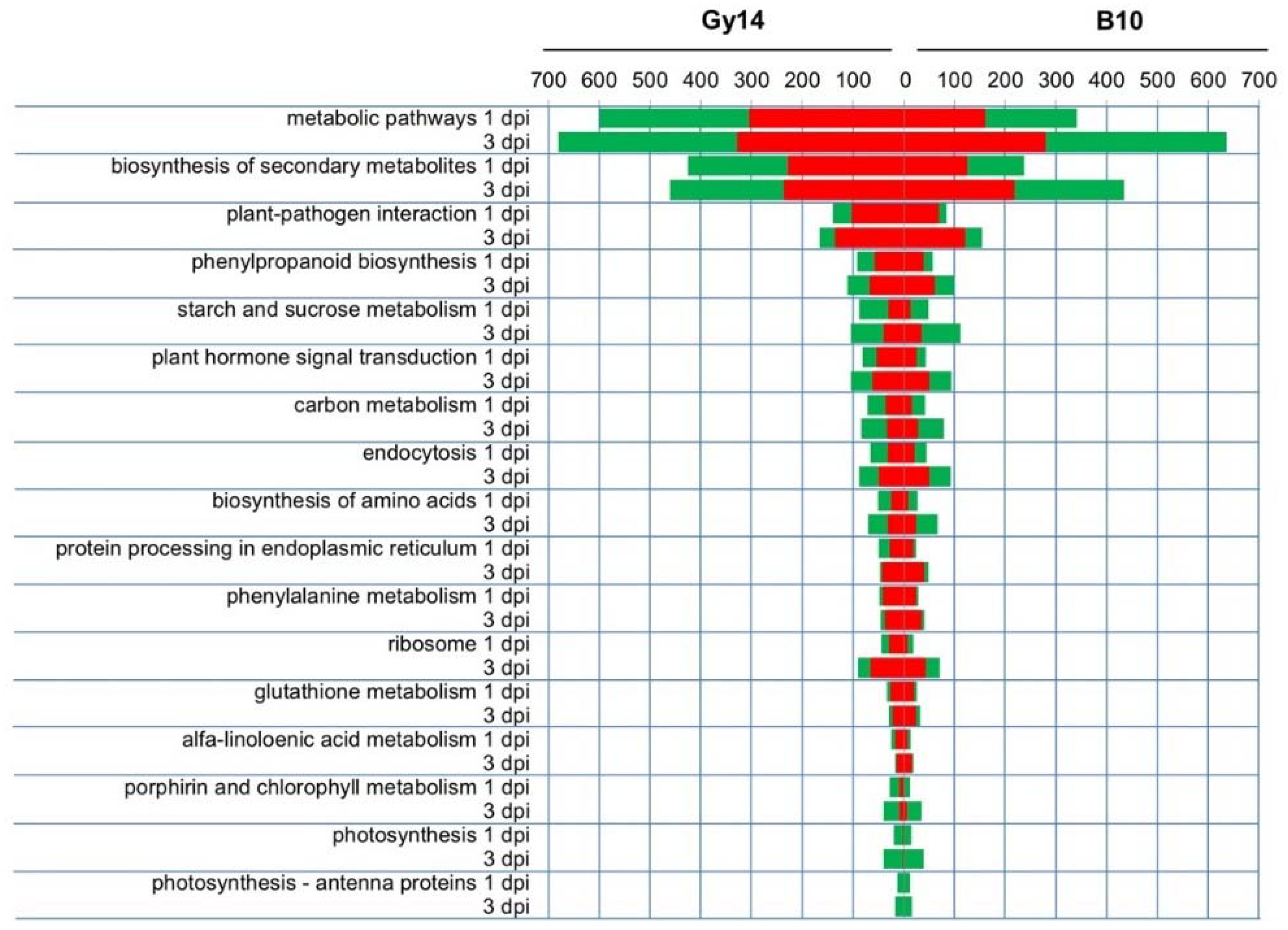 Ijms 22 04192 g006 Ijms 22 04192 g006