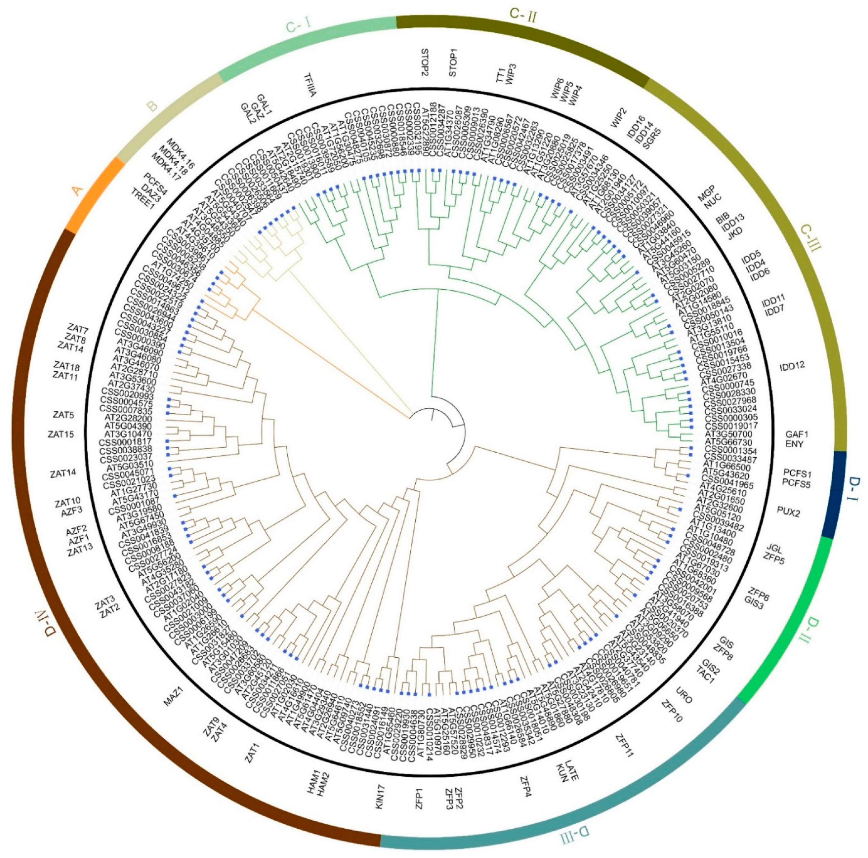 IJMS | Free Full-Text | Genome-Wide Identification and Expression