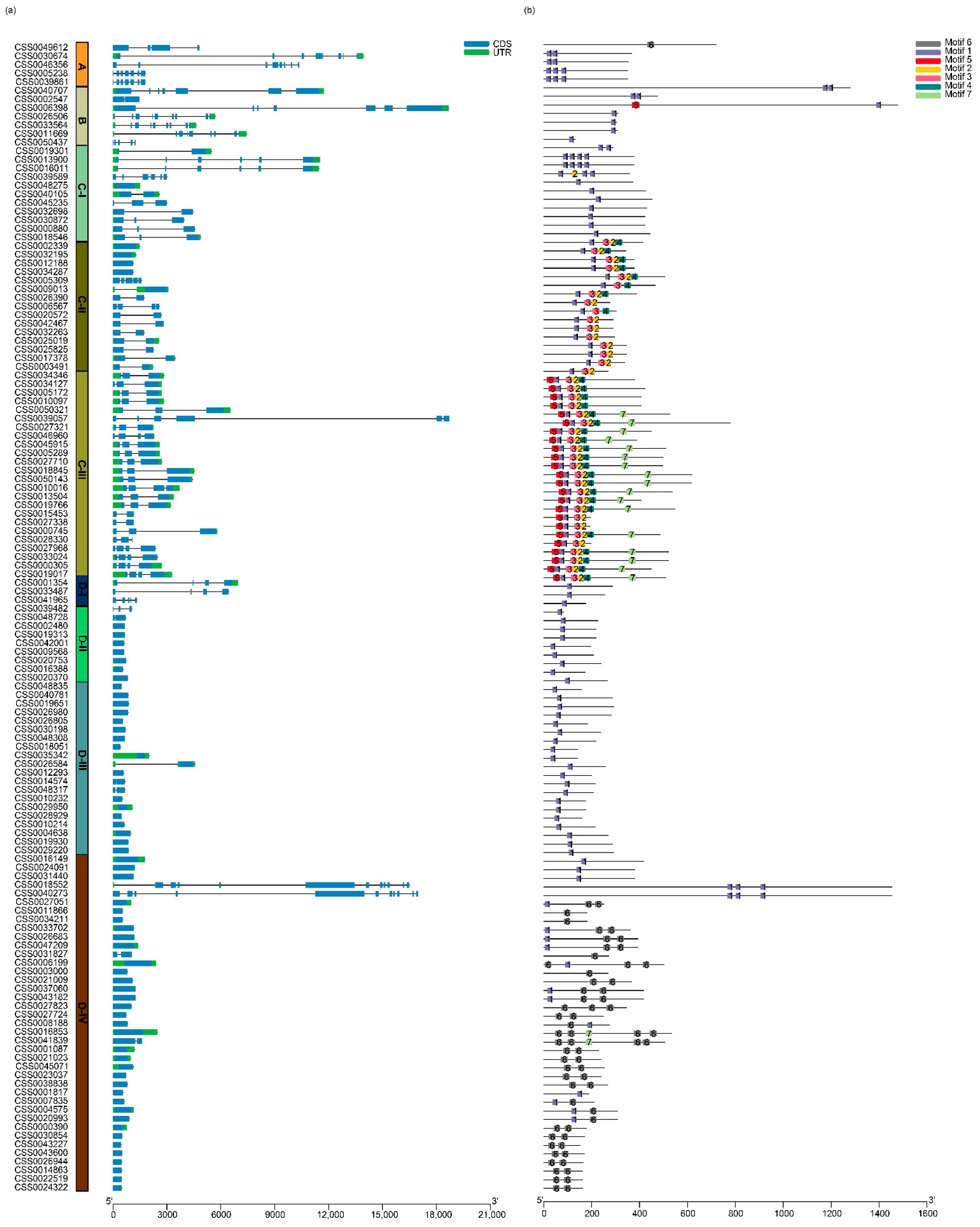 Ijms 22 04197 g004 Ijms 22 04197 g004